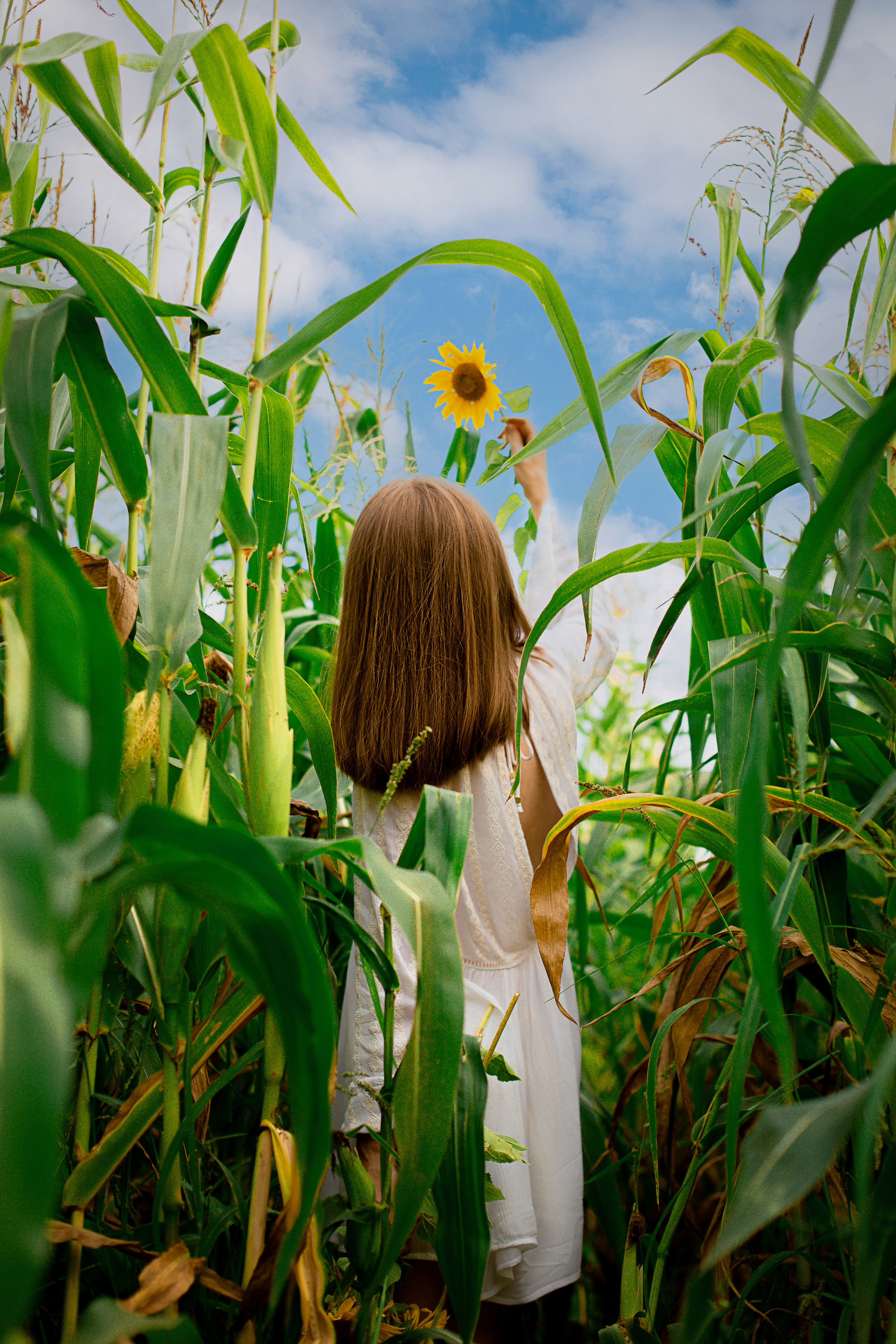 Фотосессия в поле. Фотограф в Барнауле Олеся Мосина