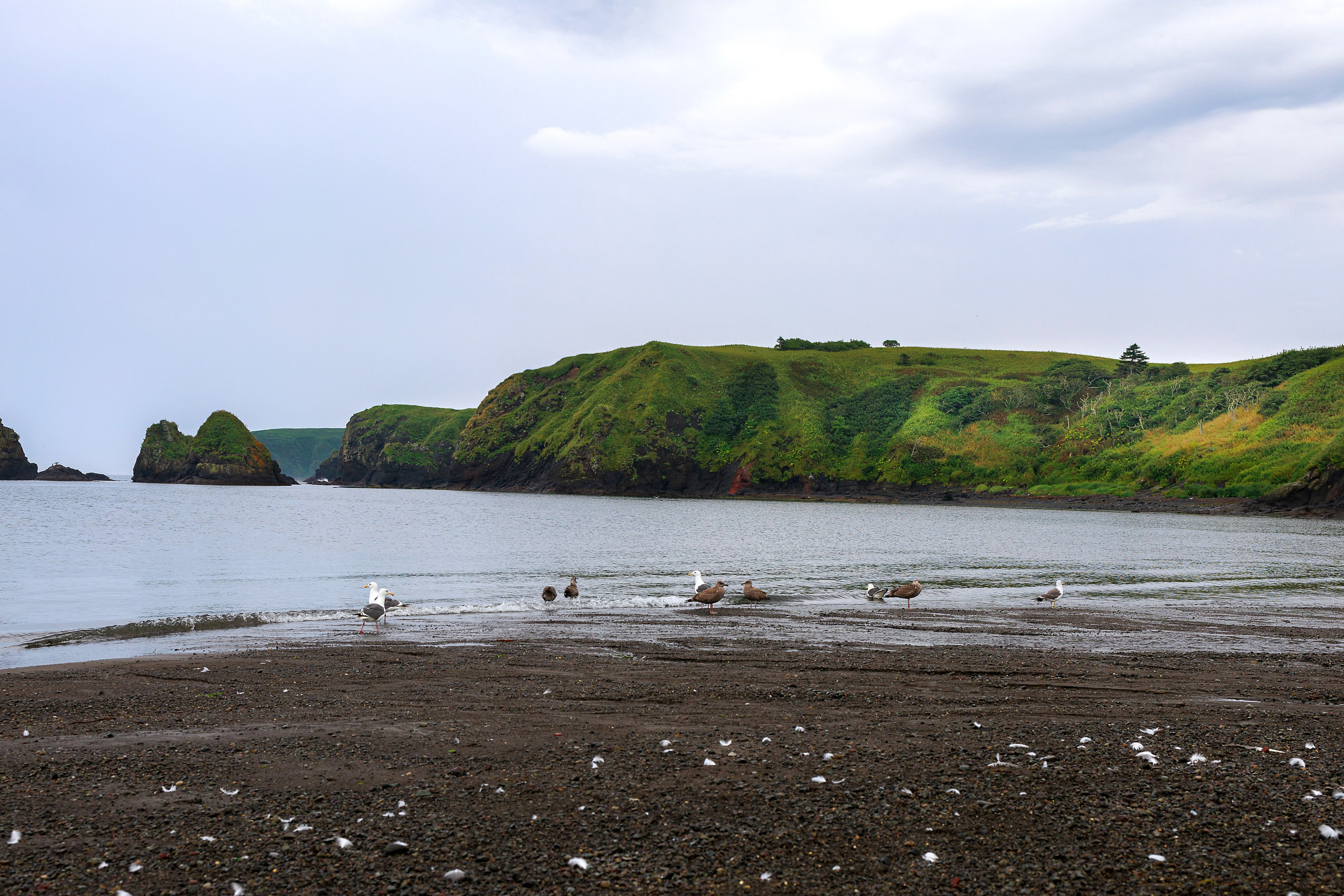 Travel. Индивидуальная и семейная съёмка. Москва, Наталья Самохвалова