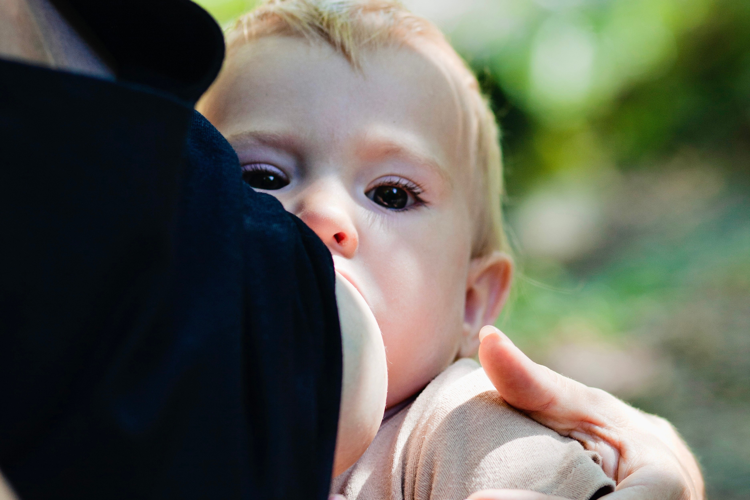 Семья / События. Фотограф-путешественник на побережье Краснодарского края и в Сибири!