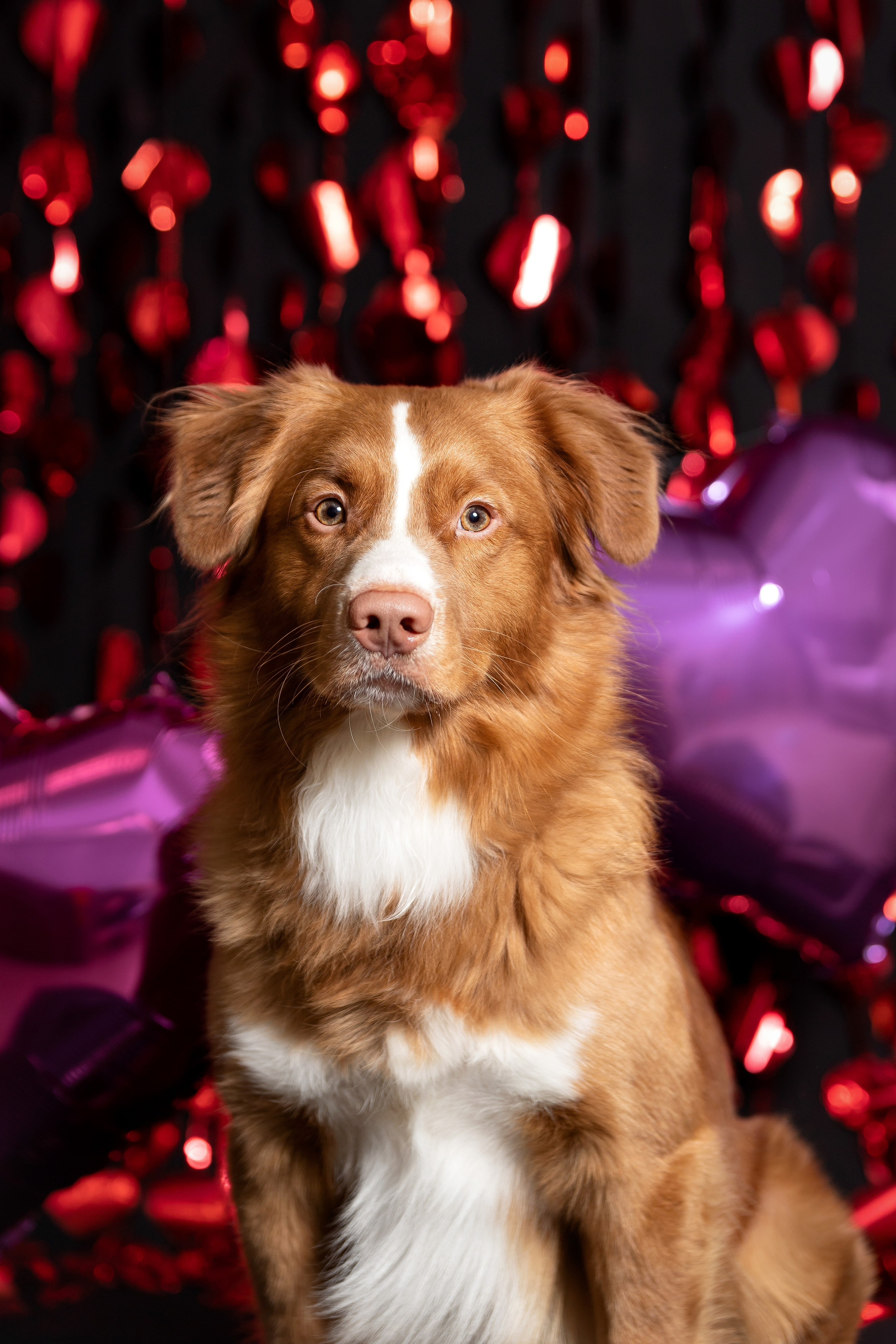 Ричард. Юлия Микульская. Рыбинск