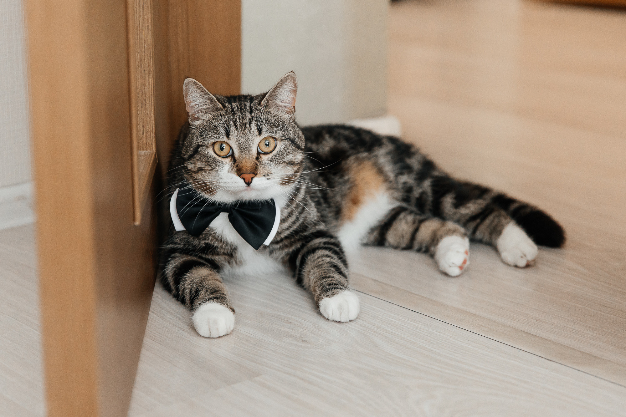 Светлана и Денис (4 июля 2022). Свадебный и семейный фотограф Крамар Наталья