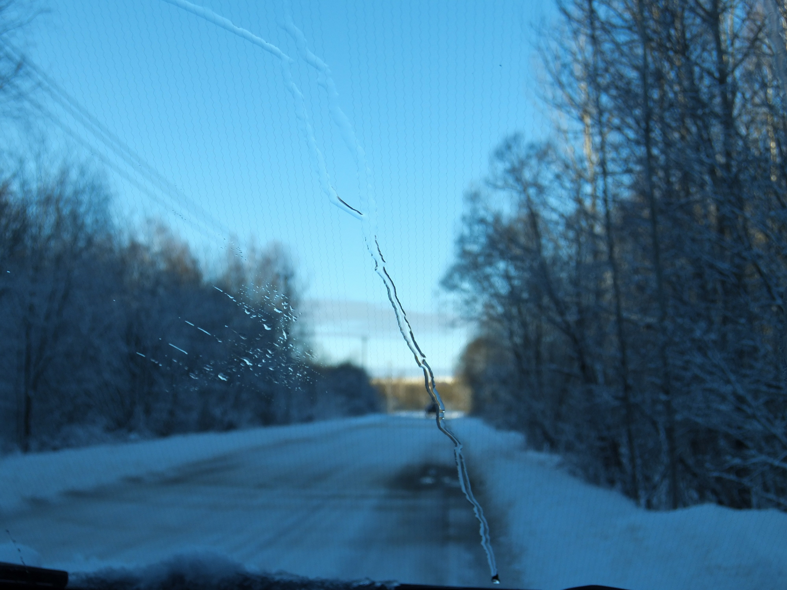 Солнечный день Нового Года. Фотограф-документалист Мария Осокина