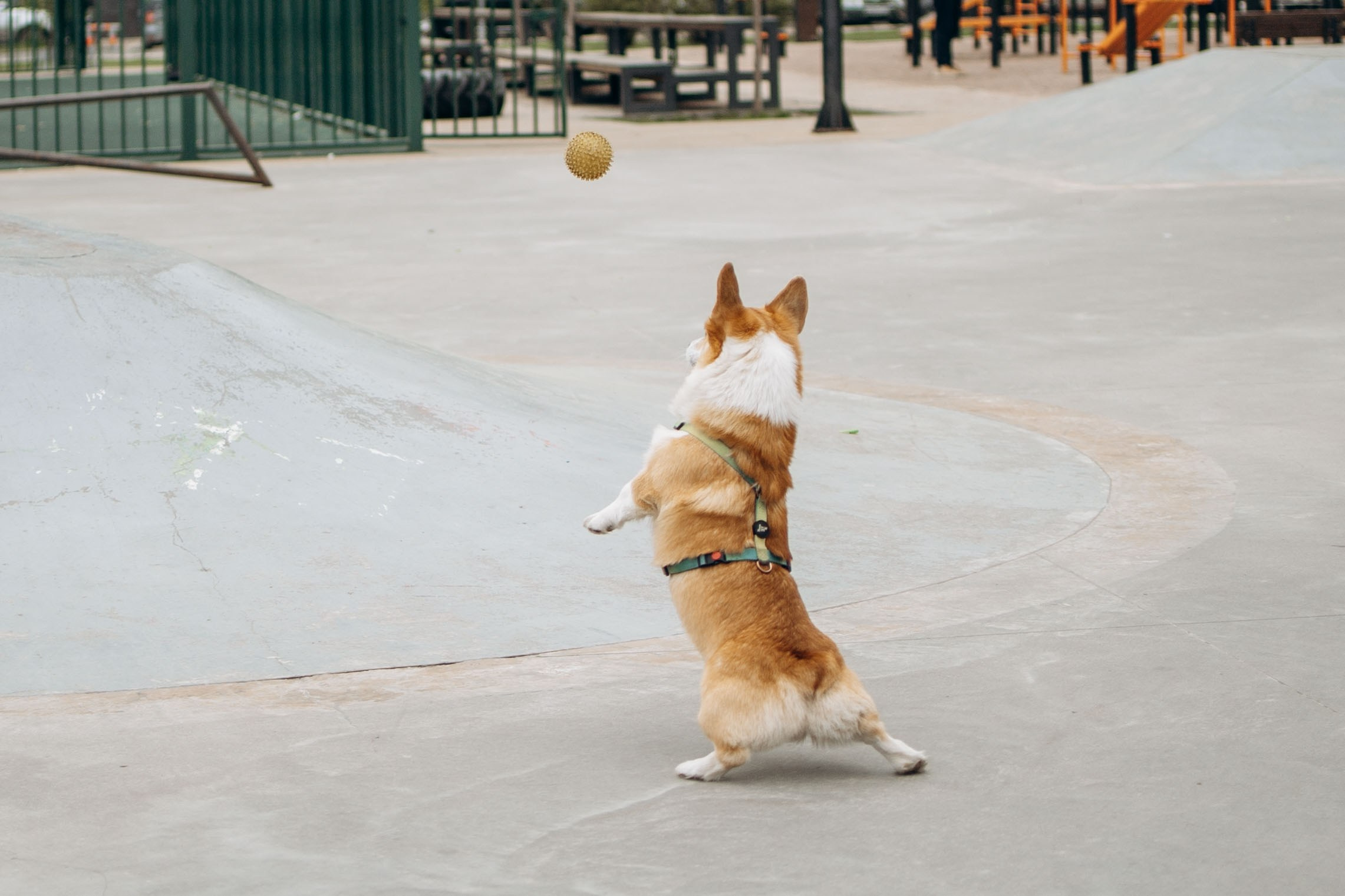Екатерина и Альфи