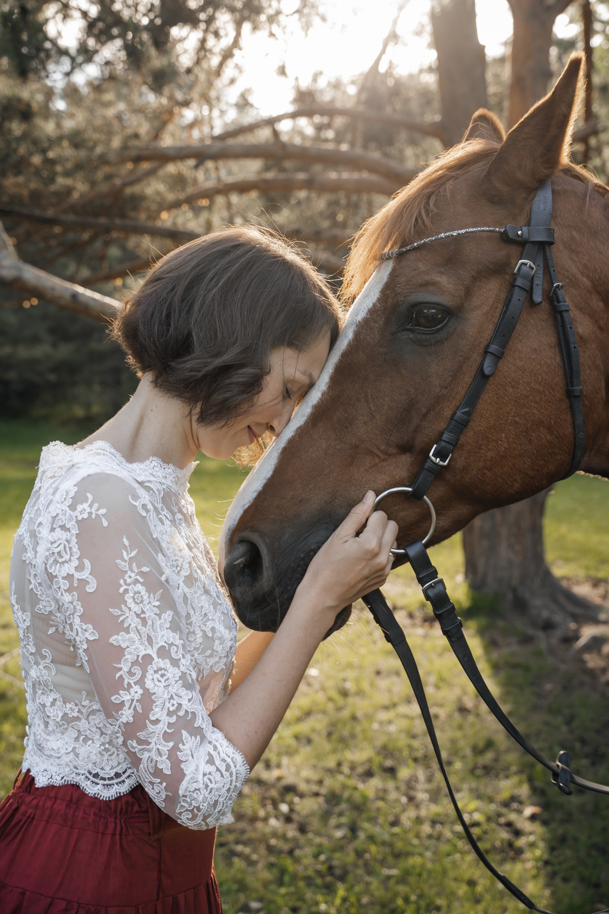 Семейная история с лошадьми. Главная