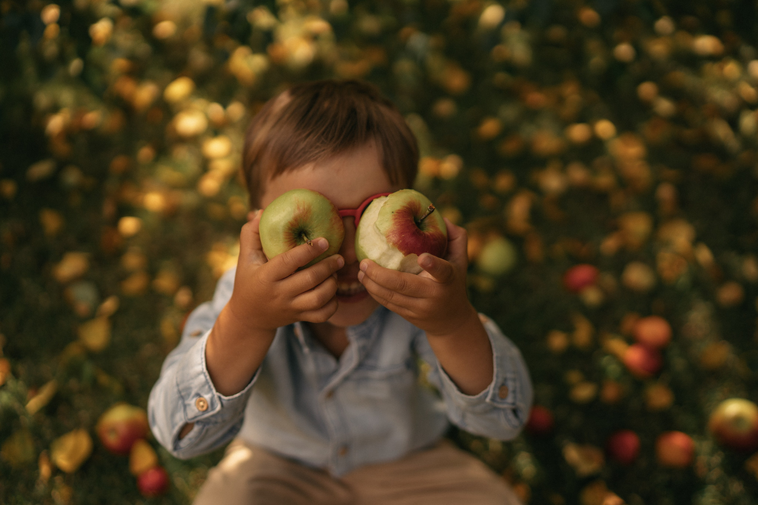 Яблочный Спас. Семейный и детский фотограф Москва Дарья Бугра