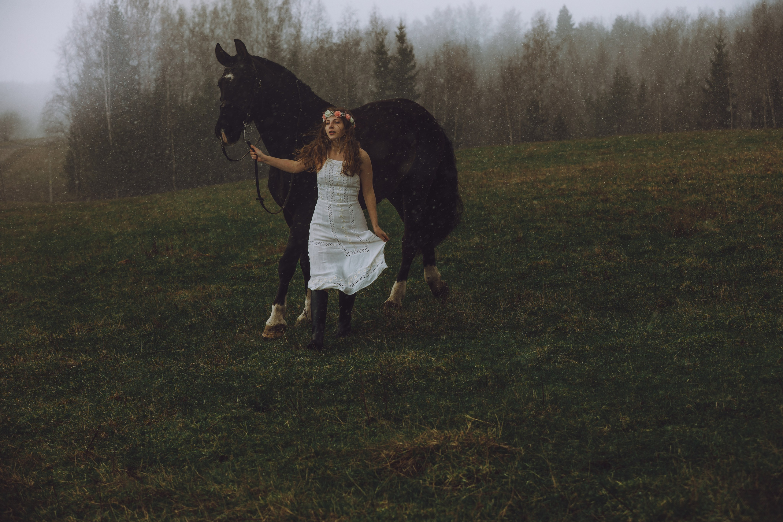 Курсы на фотографа-анималиста