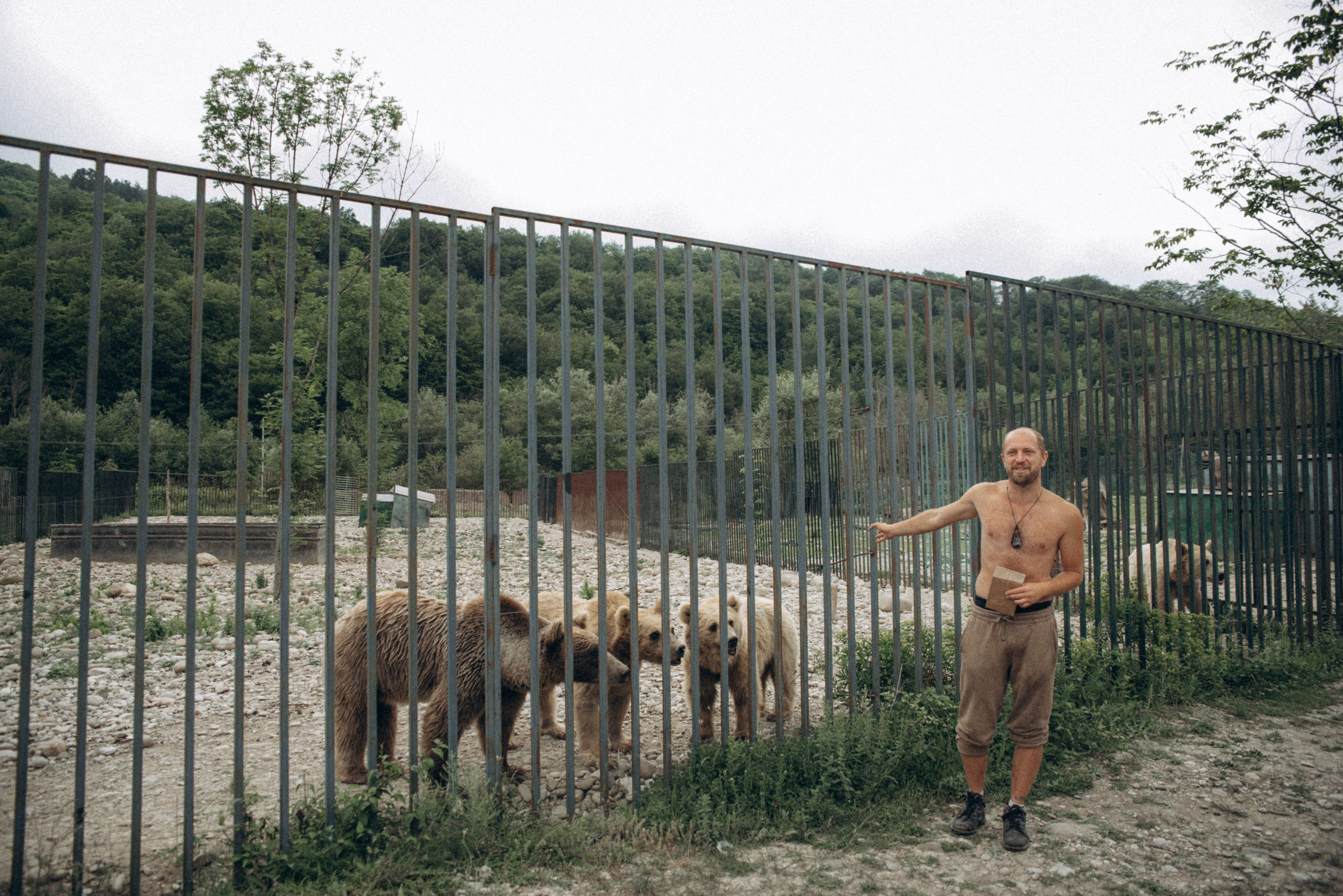 Медвежий приют, Грузия 🇬🇪. Anita_photo