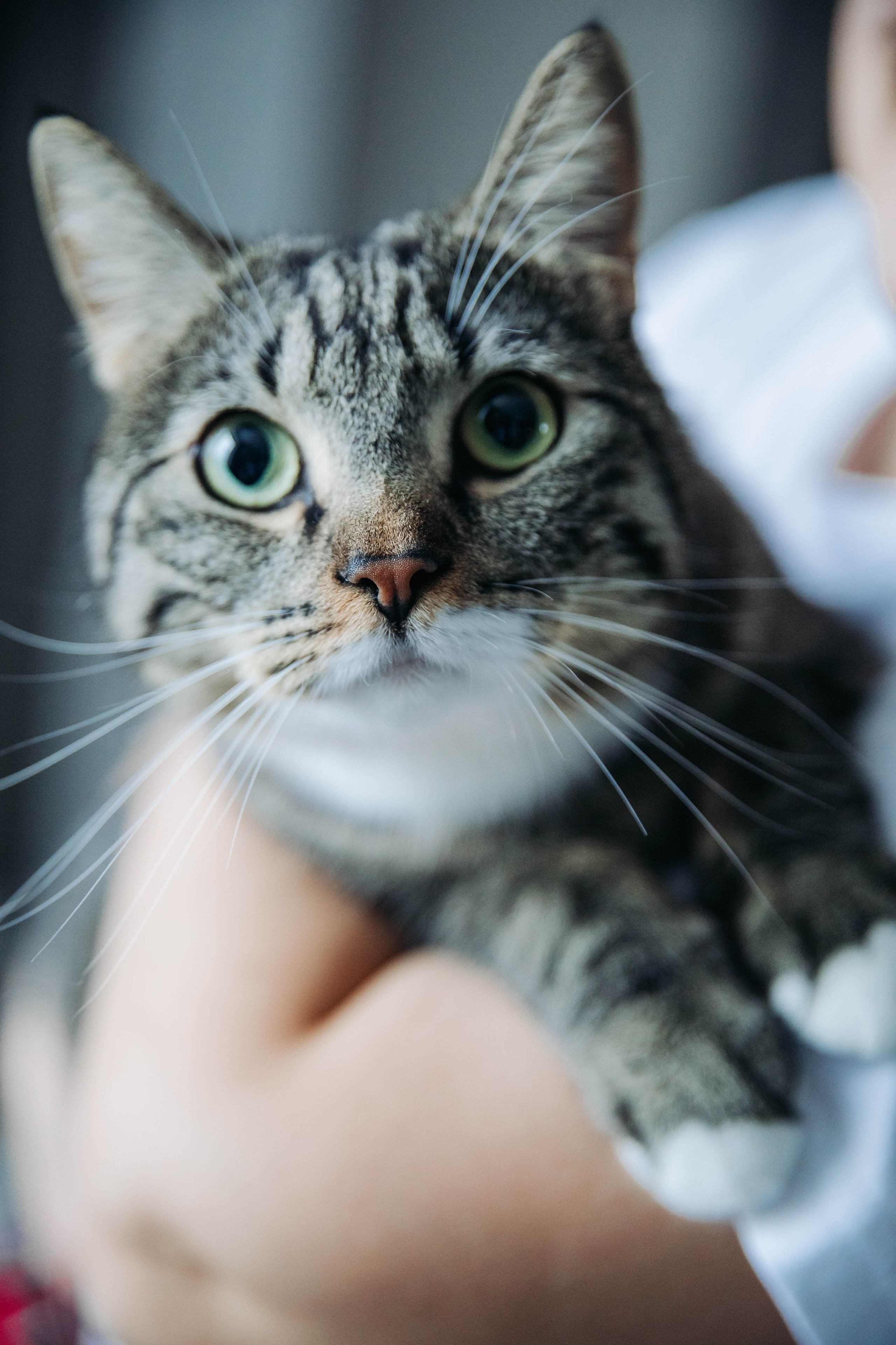 Лена и Ильюша. Свадебный и семейный фотограф в Санкт-Петербурге Лолита Евстифеева