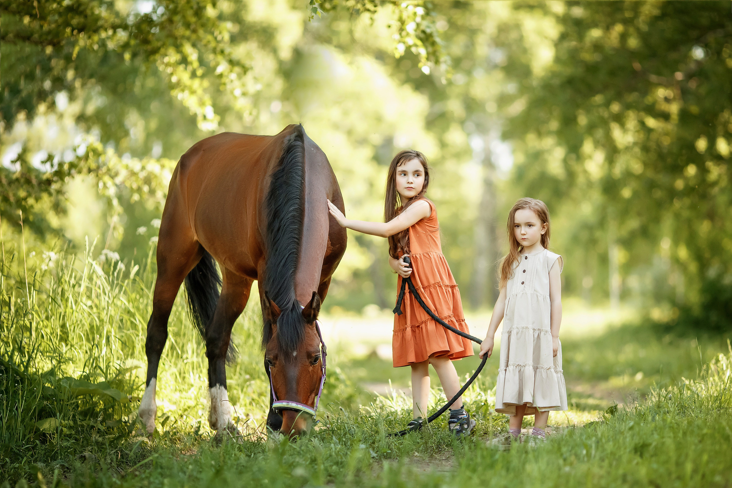 С конем. Сказочный фотограф фотопроекты фототуры в Новосибирске и на Алтае