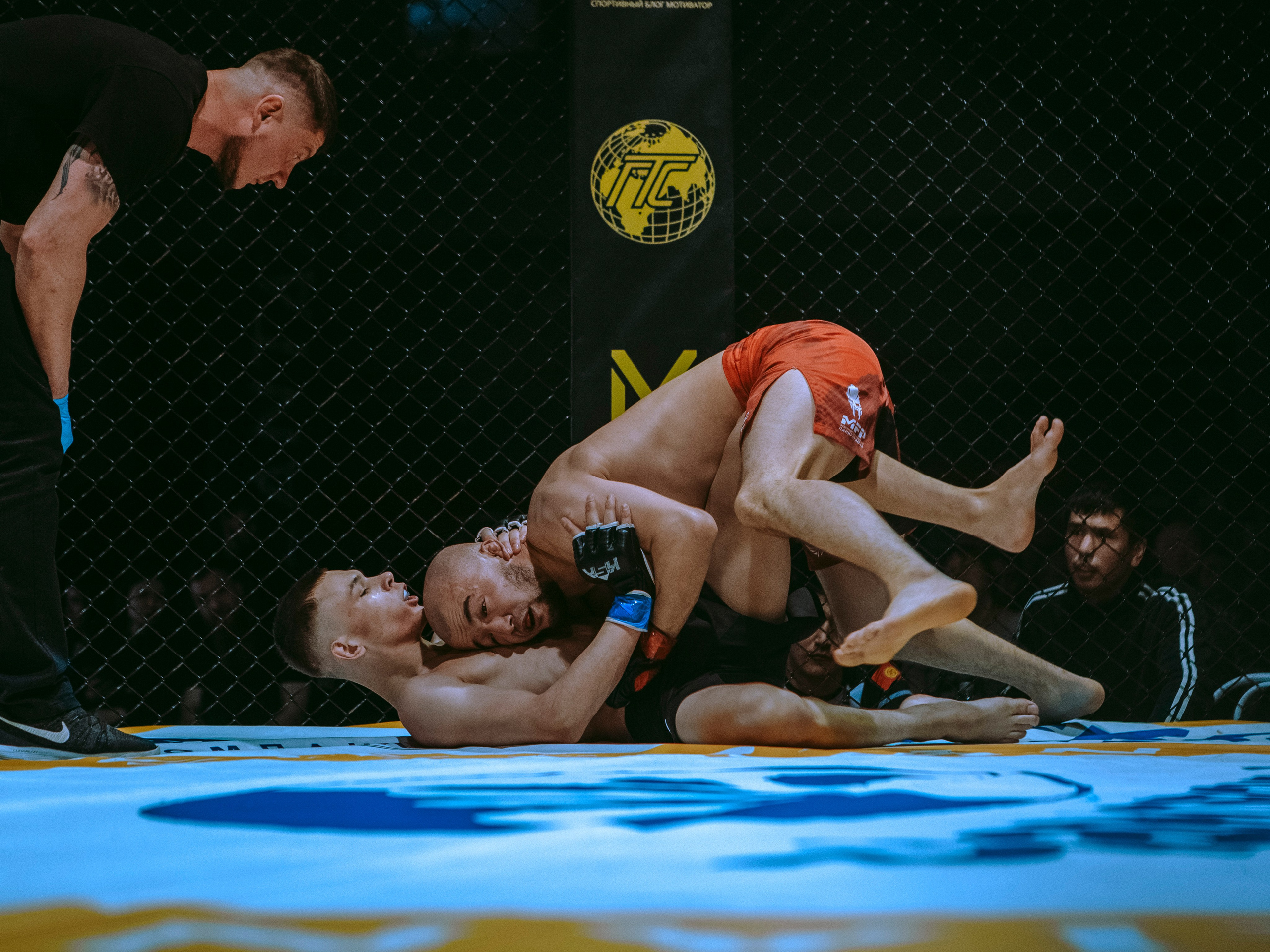 SFL 17 | Siberian Fighting League. Портретный фотограф в Москве Дарья Цезария