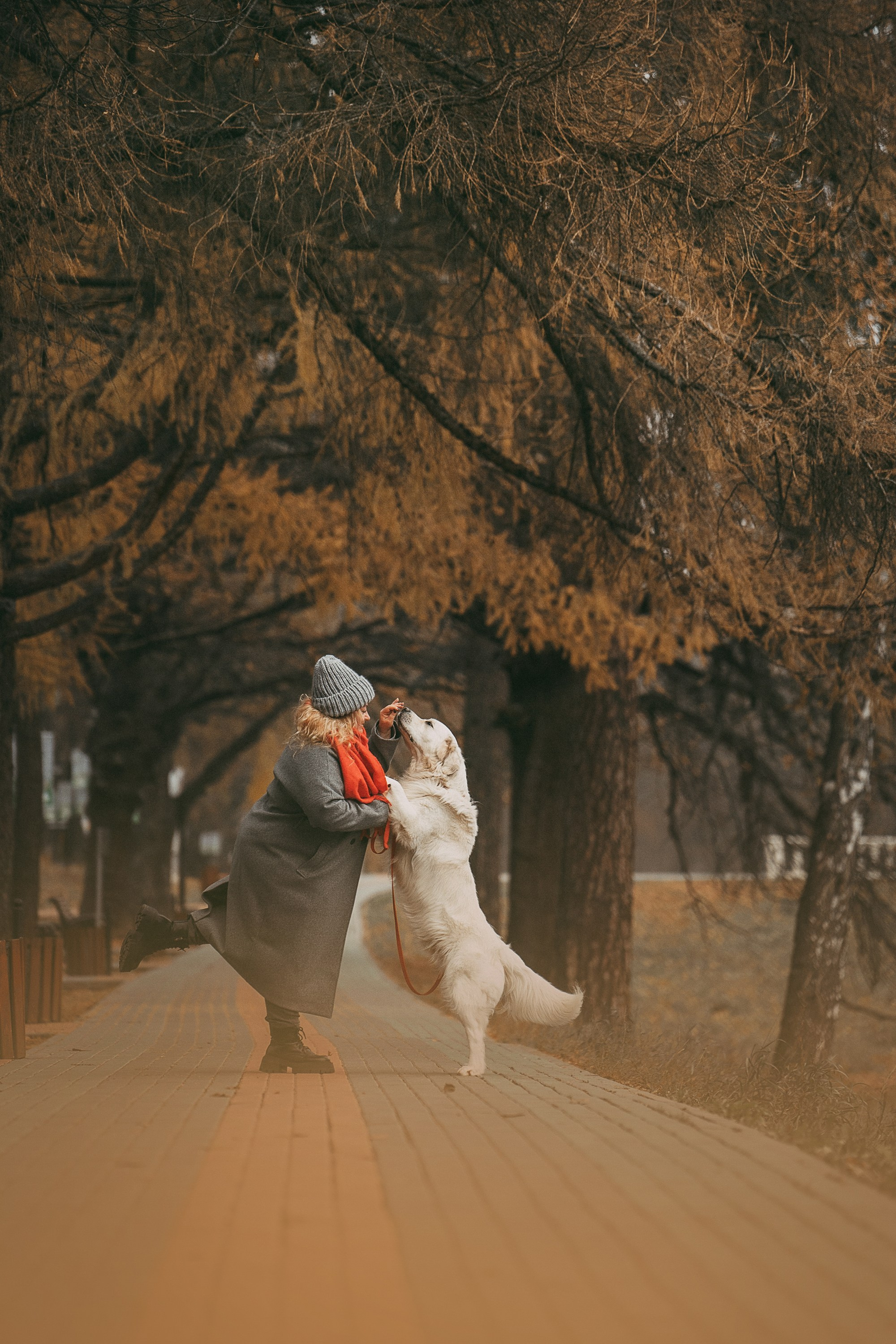 Лена и Мерлин. Фотограф анималист в Москве и Санкт-Петербурге Свиридова Анна
