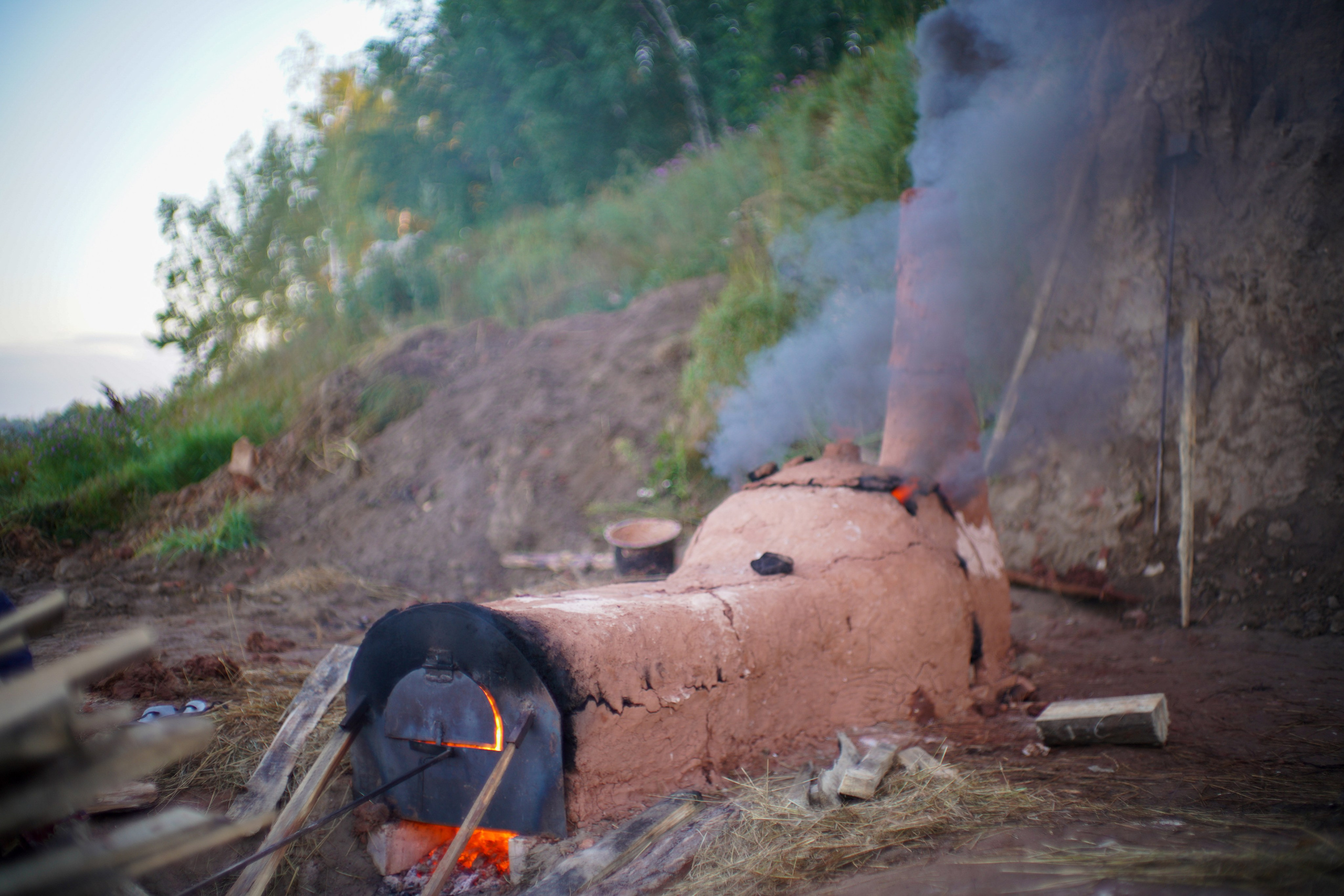 Wild fire 2024 — Дикий огонь 2024