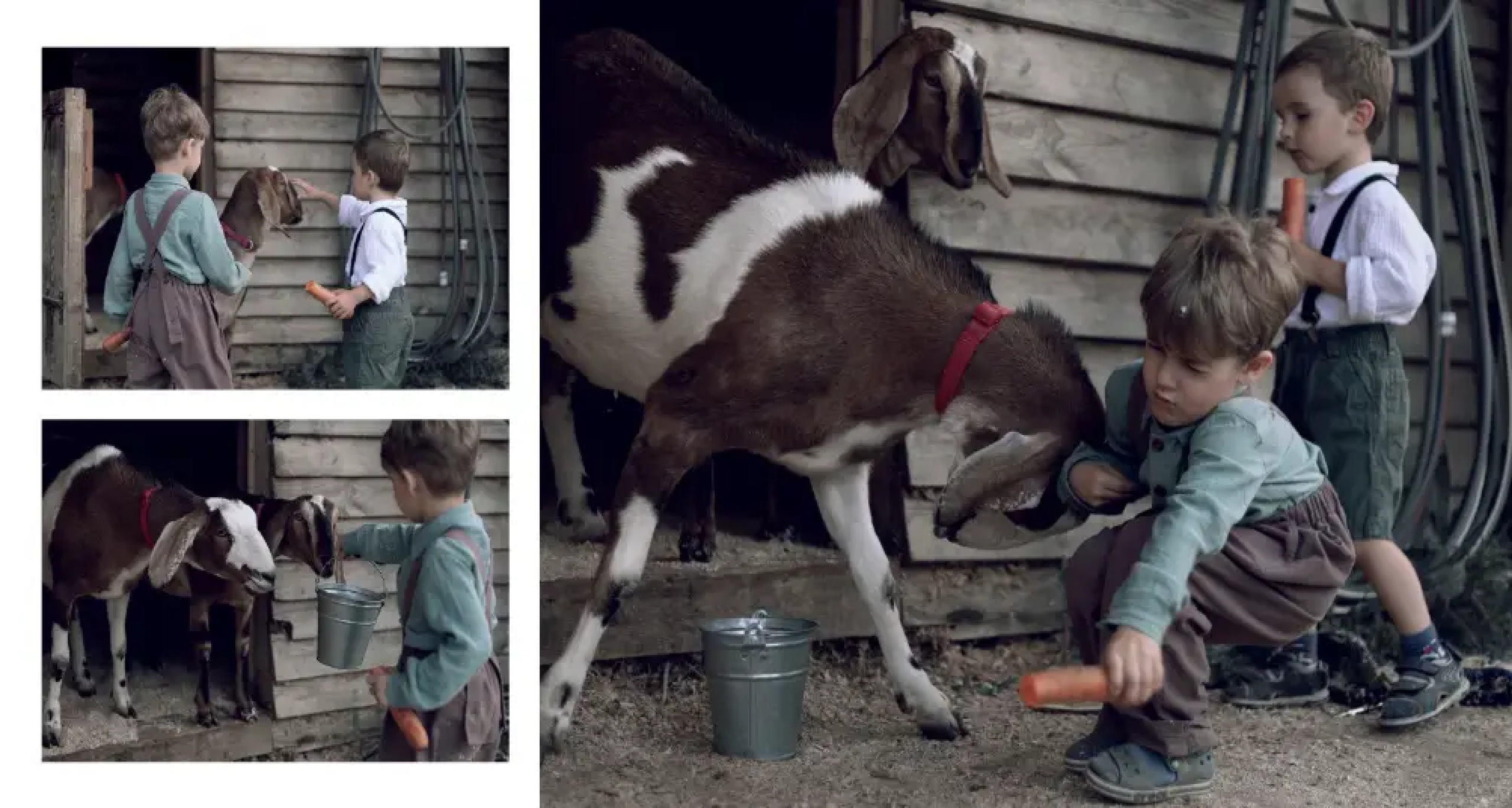 Верстка. Фотограф в Минске Алёна Дианина