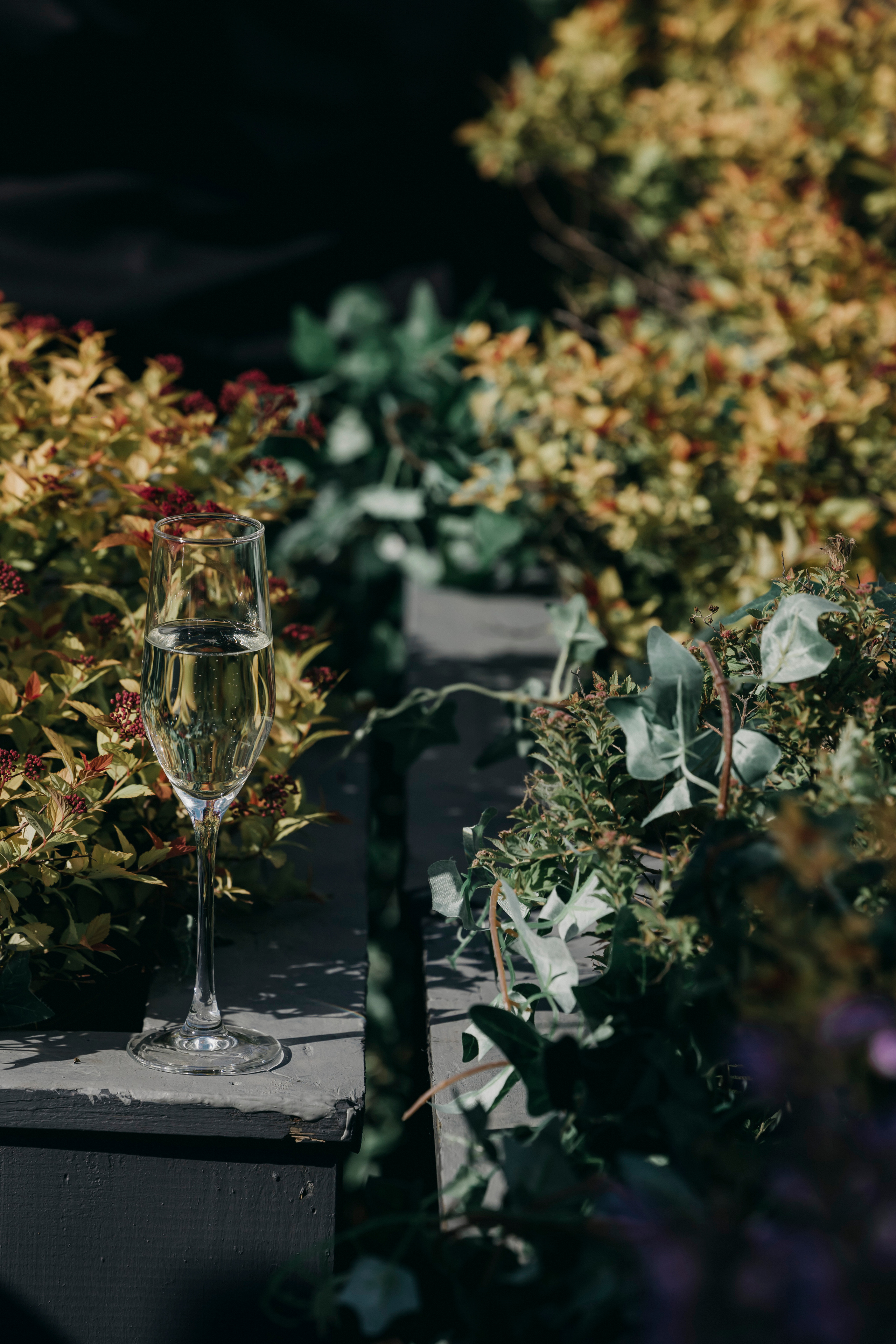 Звездная свадьба диджея Кати Гусевой. Свадебный фотограф в Москве Екатерина Гусева