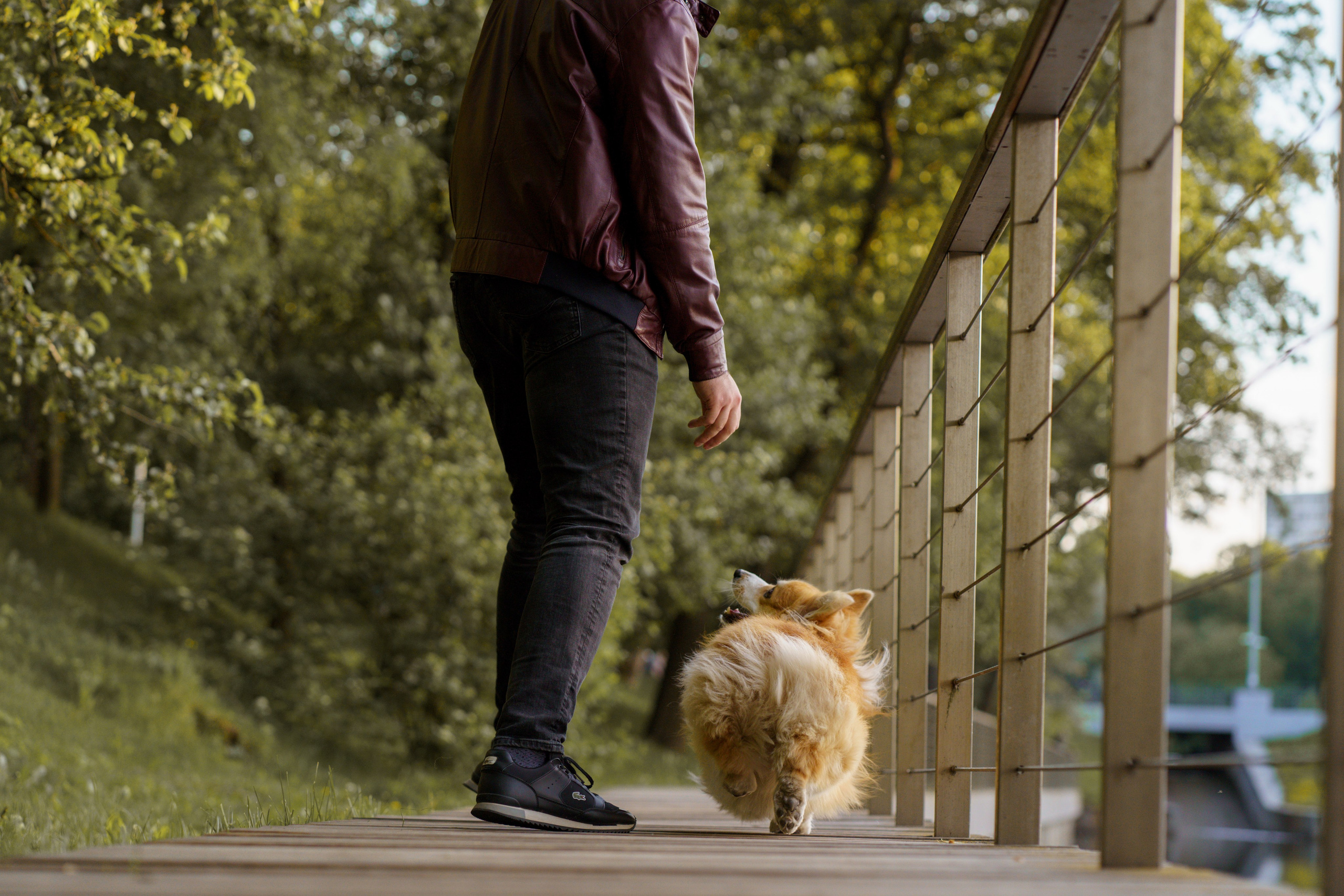 Катя, Арсений и Пух. Свадебный фотограф в Москве Анна Полушина