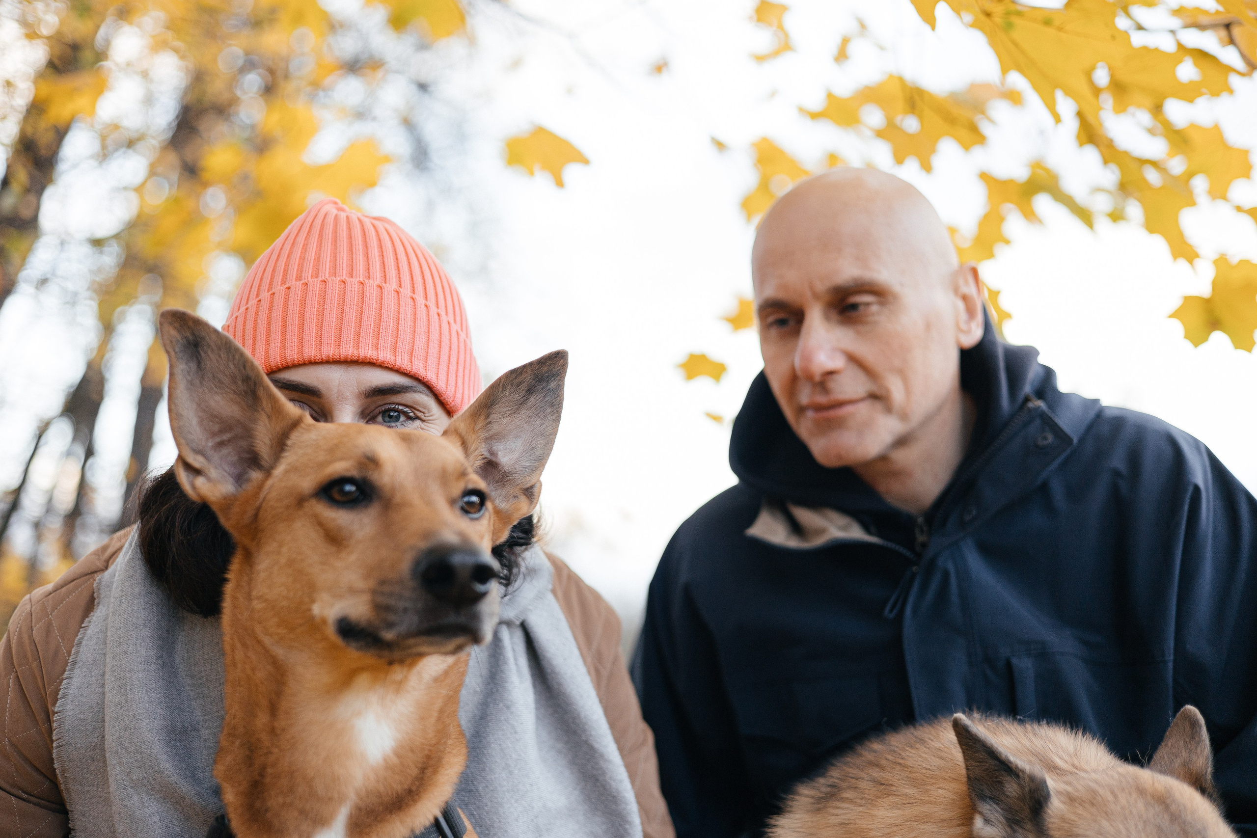Нелли, Лёша, Рэй и Норд. Фотограф Анна Луценко Москва