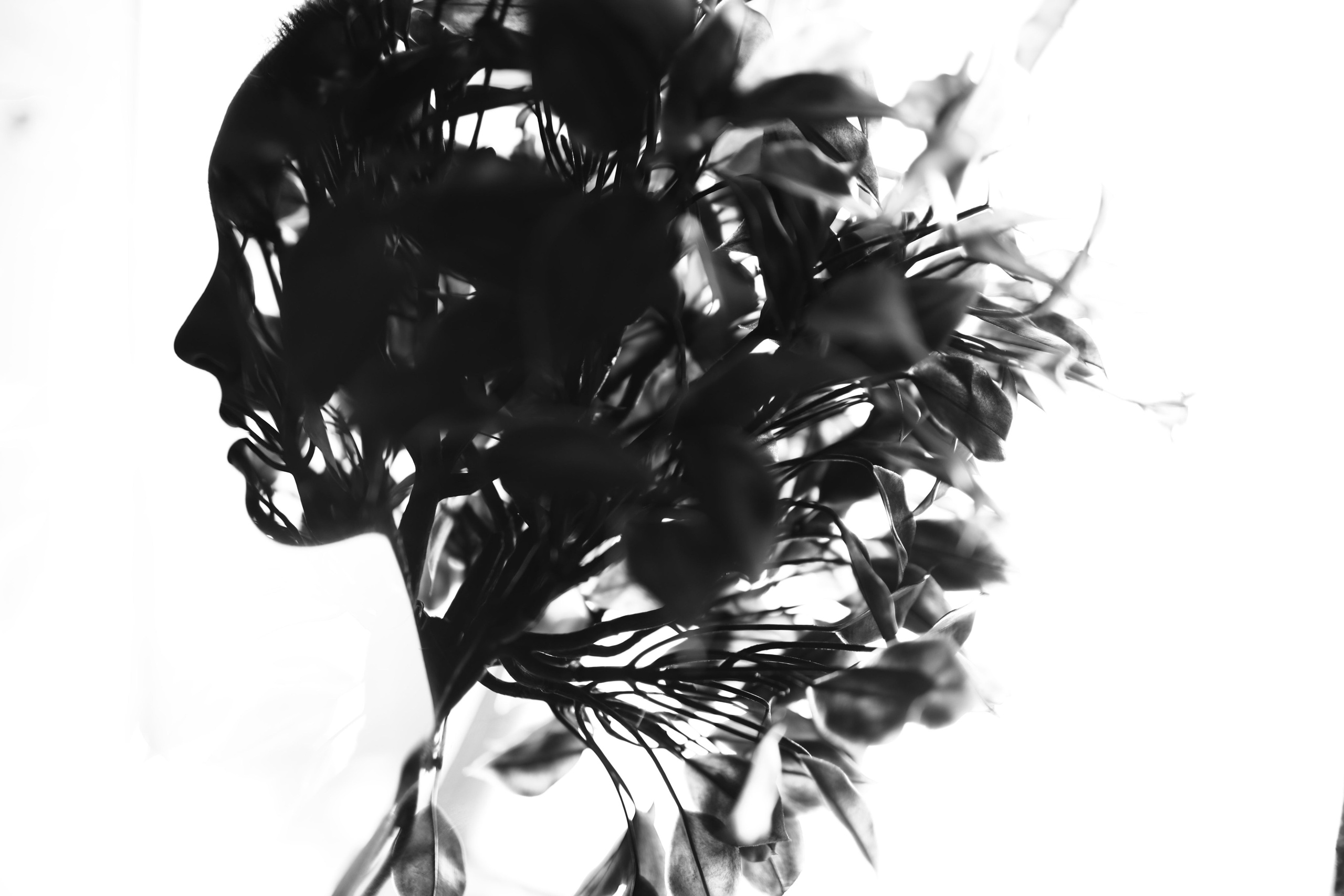 PORTRAITS. VETER photography