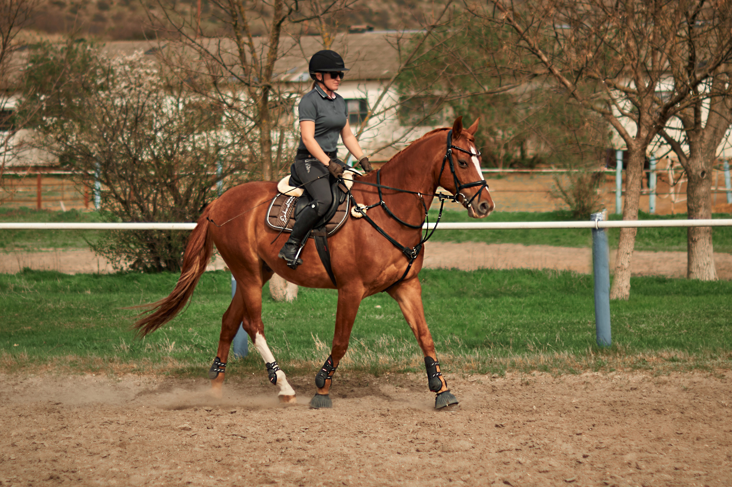 Екатерина и Банкир. Фотограф в Севастополе