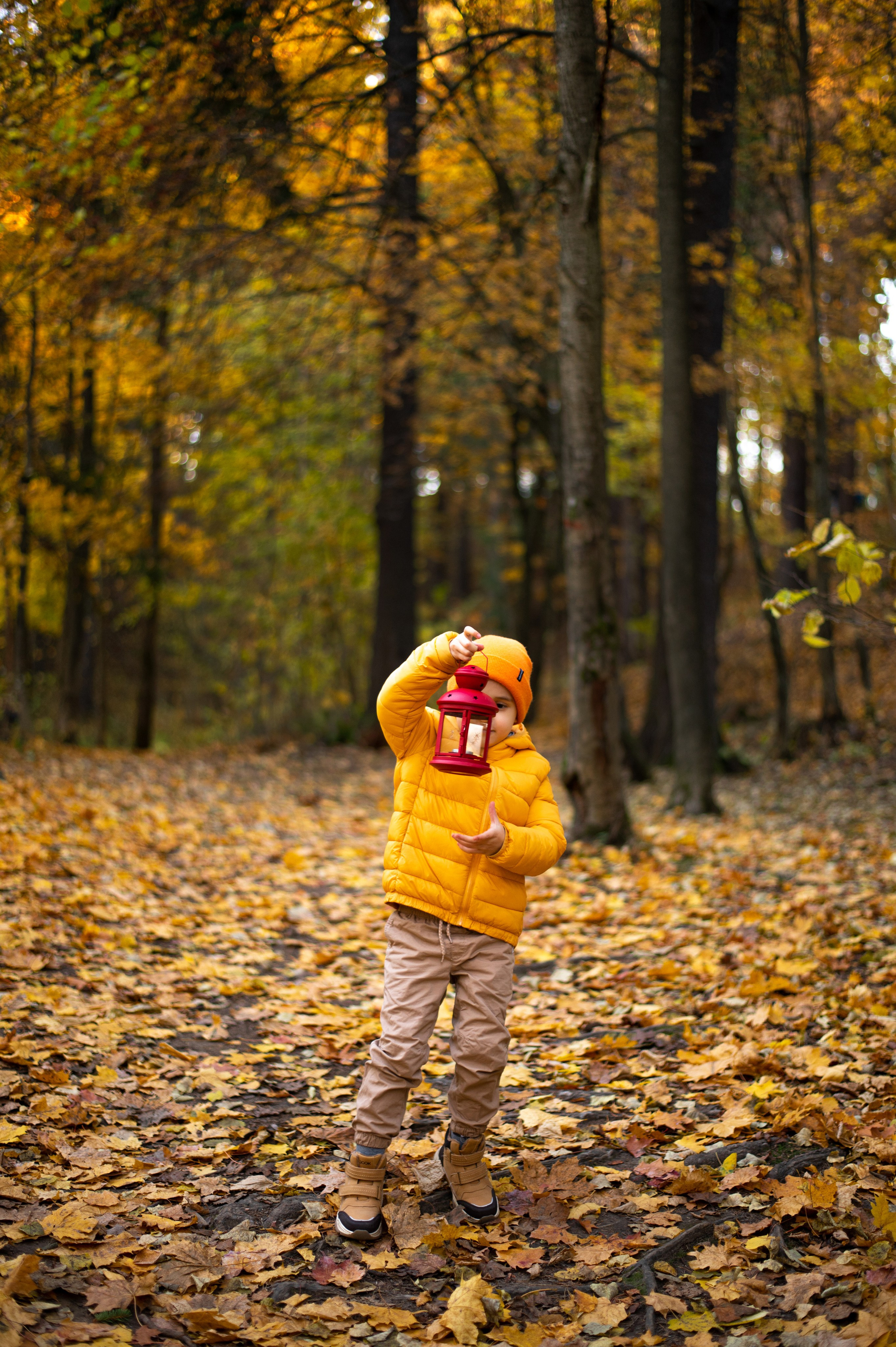 Осень в Шуваловском парке. Фотограф Санкт-Петербург | Дарья Першина