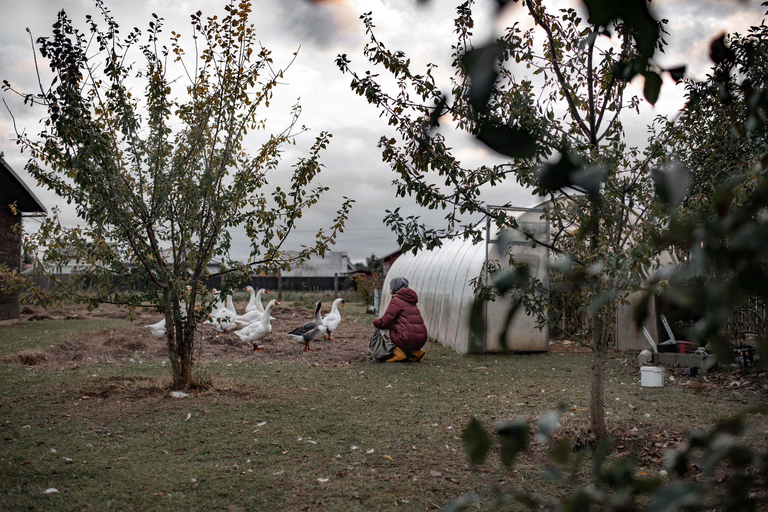 Люди. Семейный фотограф Псков. Спб.|Анастасия Войналович