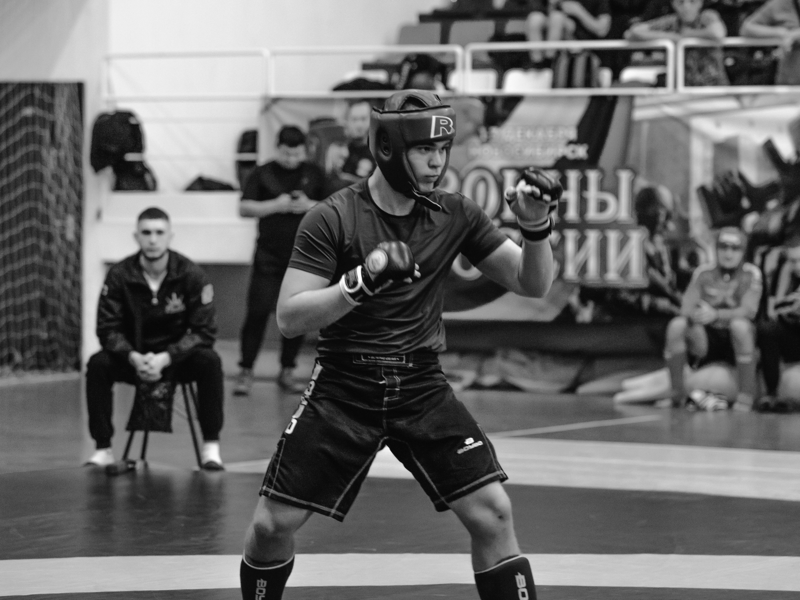 Кубок России по спортивной борьбе панкратион `23. Портретный фотограф в Москве Дарья Цезария