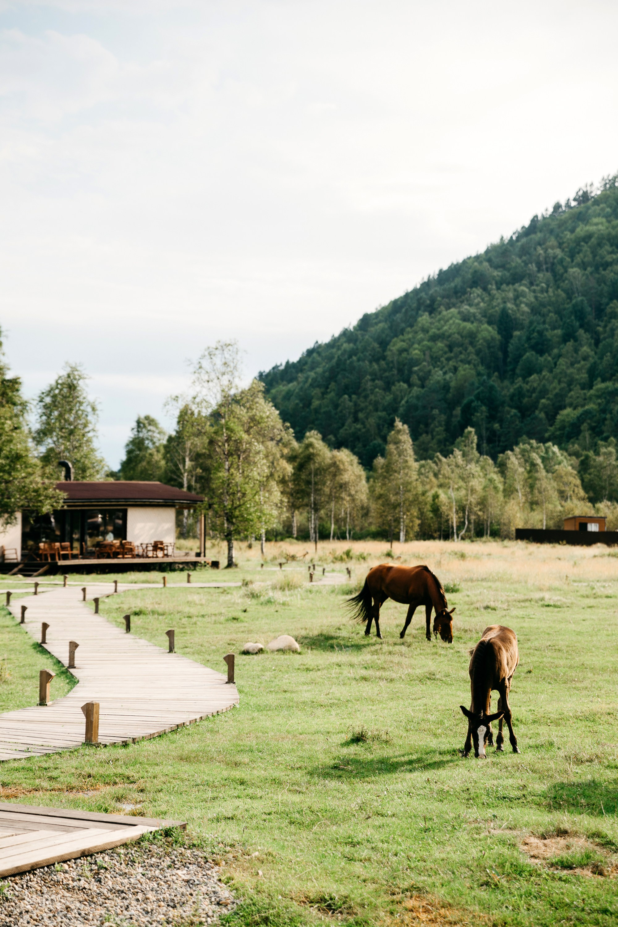 Сергей и Светлана. Свадебный фотограф Иркутск, репортажный фотограф Иркутск