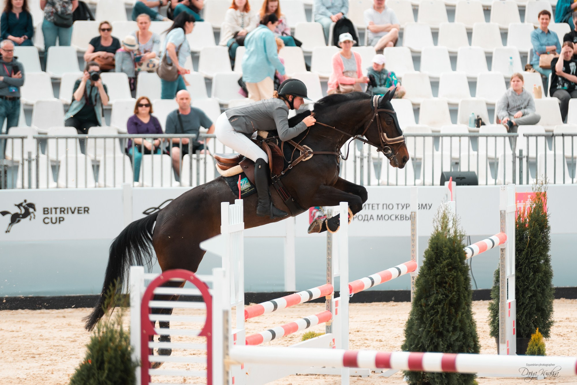 BITRIVER CUP 2023. Конный фотограф Куракина Дарья • Фотосессии с лошадьми