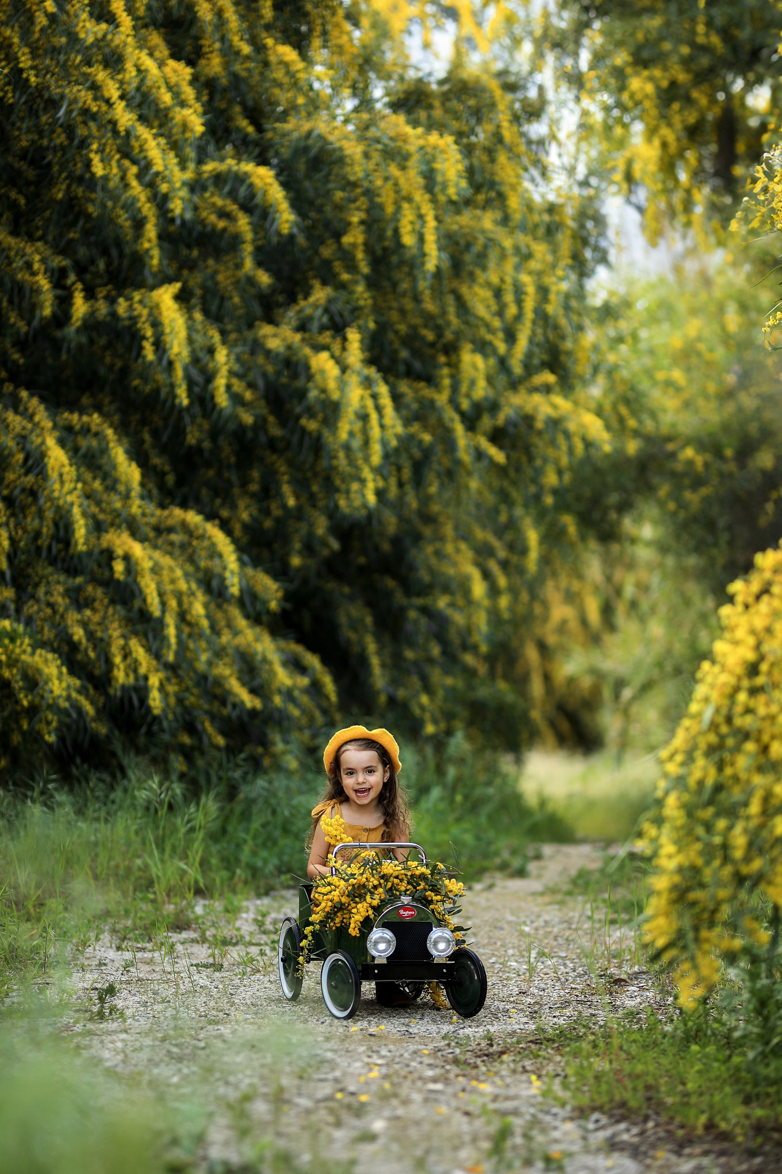Photoshooting in mimosa