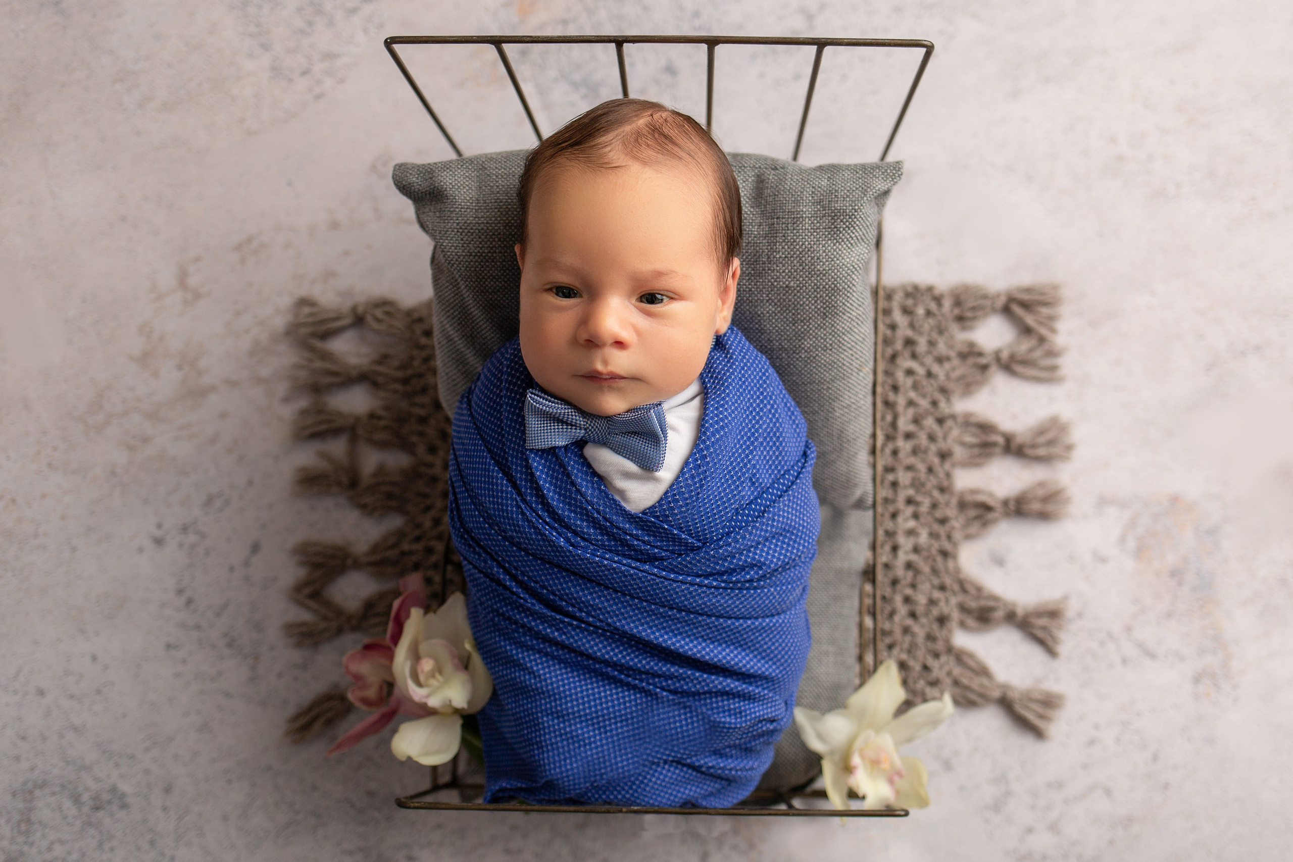 Ньюборн мальчики. Фотограф новорожденных, семейный, детский фотограф в Москве и Московской области