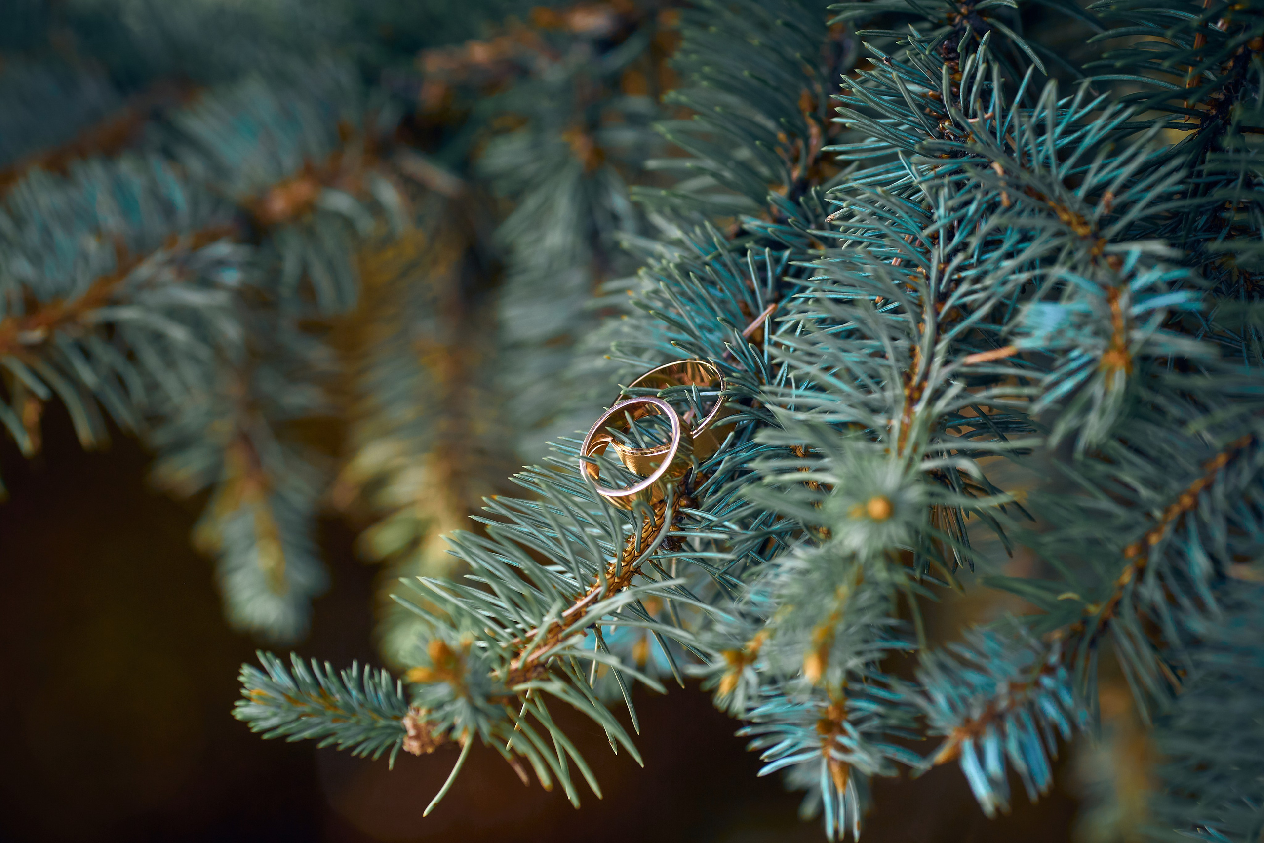 Свадебная фотосессия. Свадебный фотограф в Тольятти Жигулевске и Самаре Пономарев Евгений