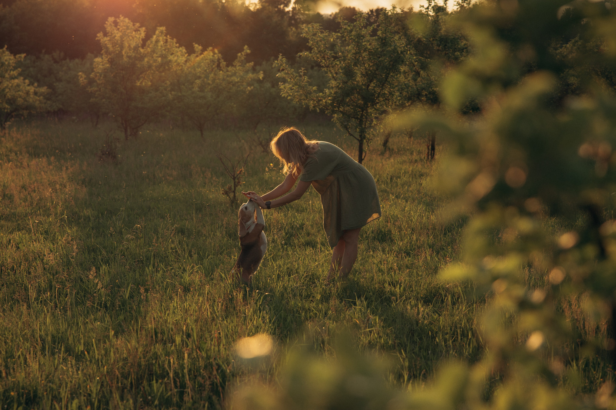 Кристина и Нора. На закате дня. Фотограф анималист в Казани Алина Сулейманова. Фотограф животных