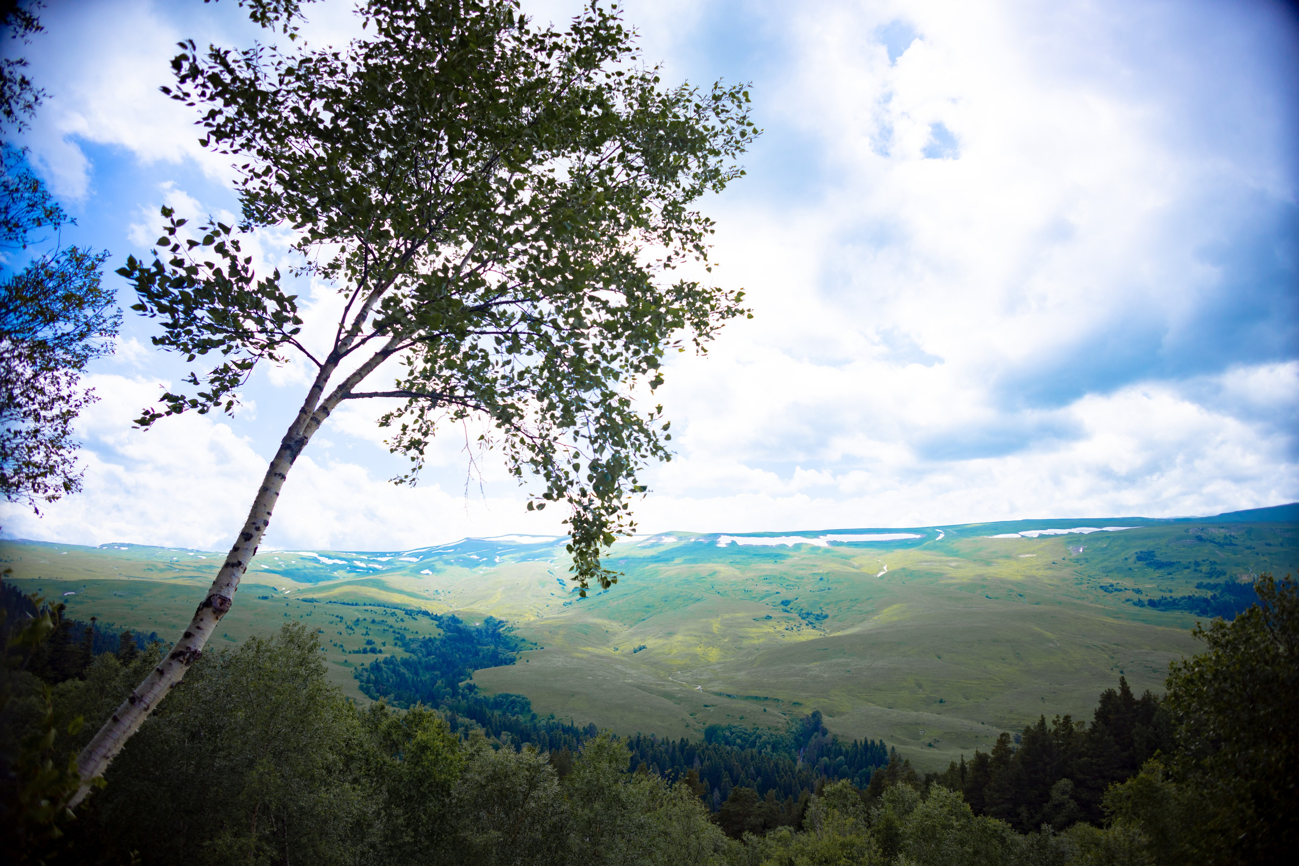 Осень. Профессиональный фотограф и видеооператор