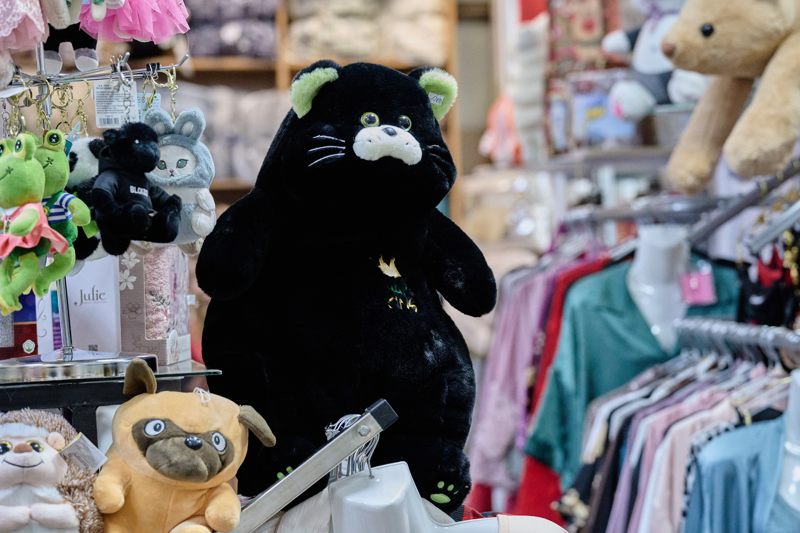 Фото для презентации фотопроекта «Территории». Фотопроект «Территории»