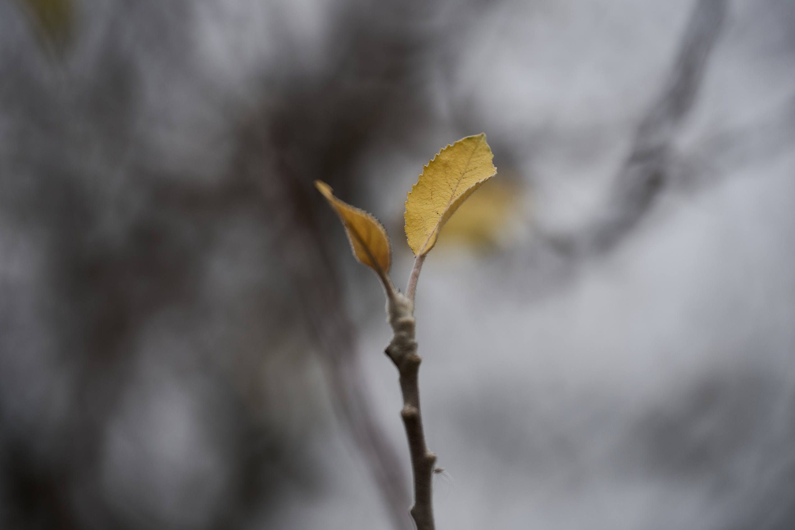 Фото для презентации фотопроекта «Территории». Фотопроект «Территории»