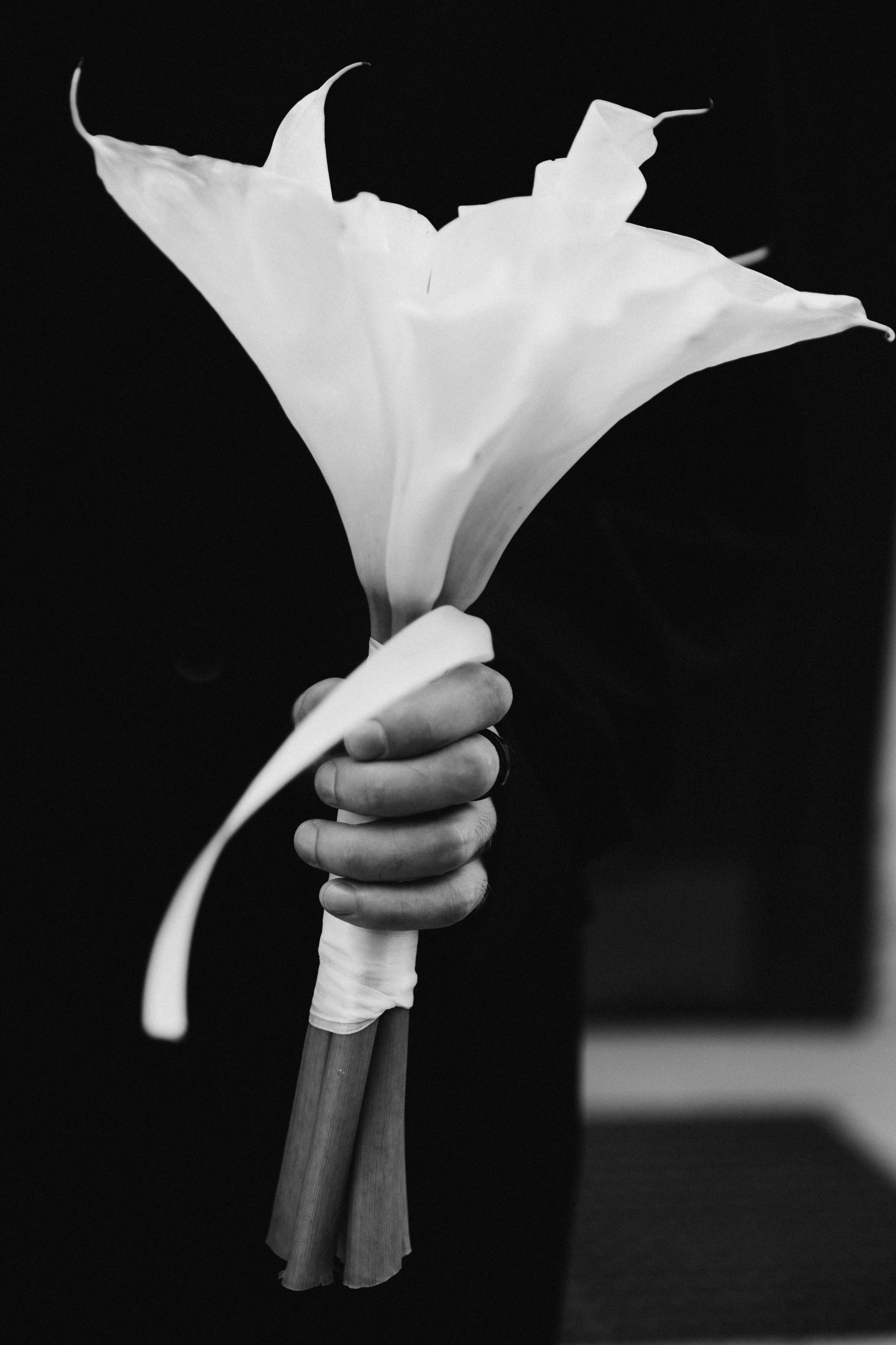 Мария и Александр. Свадебный и портретный фотограф в Калининграде и Москве Марк Юдинцев