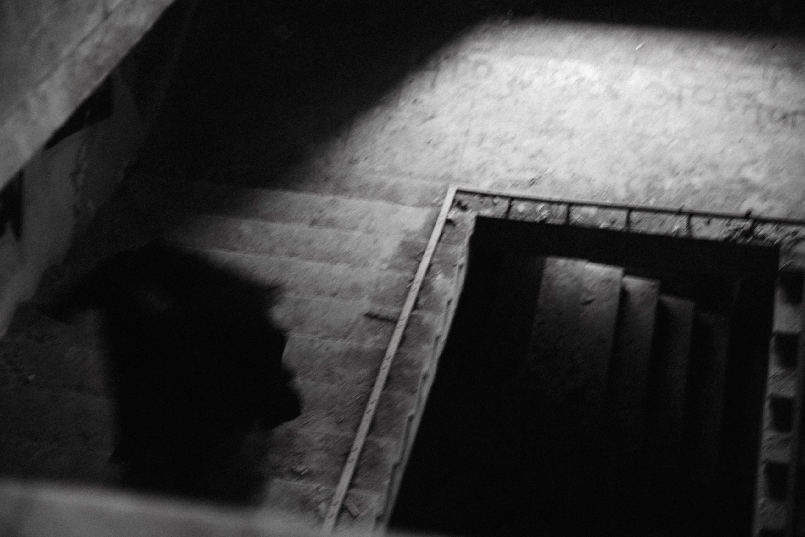 Йоко. Женский фотограф в Санкт-Петербурге Степлевич Дарья