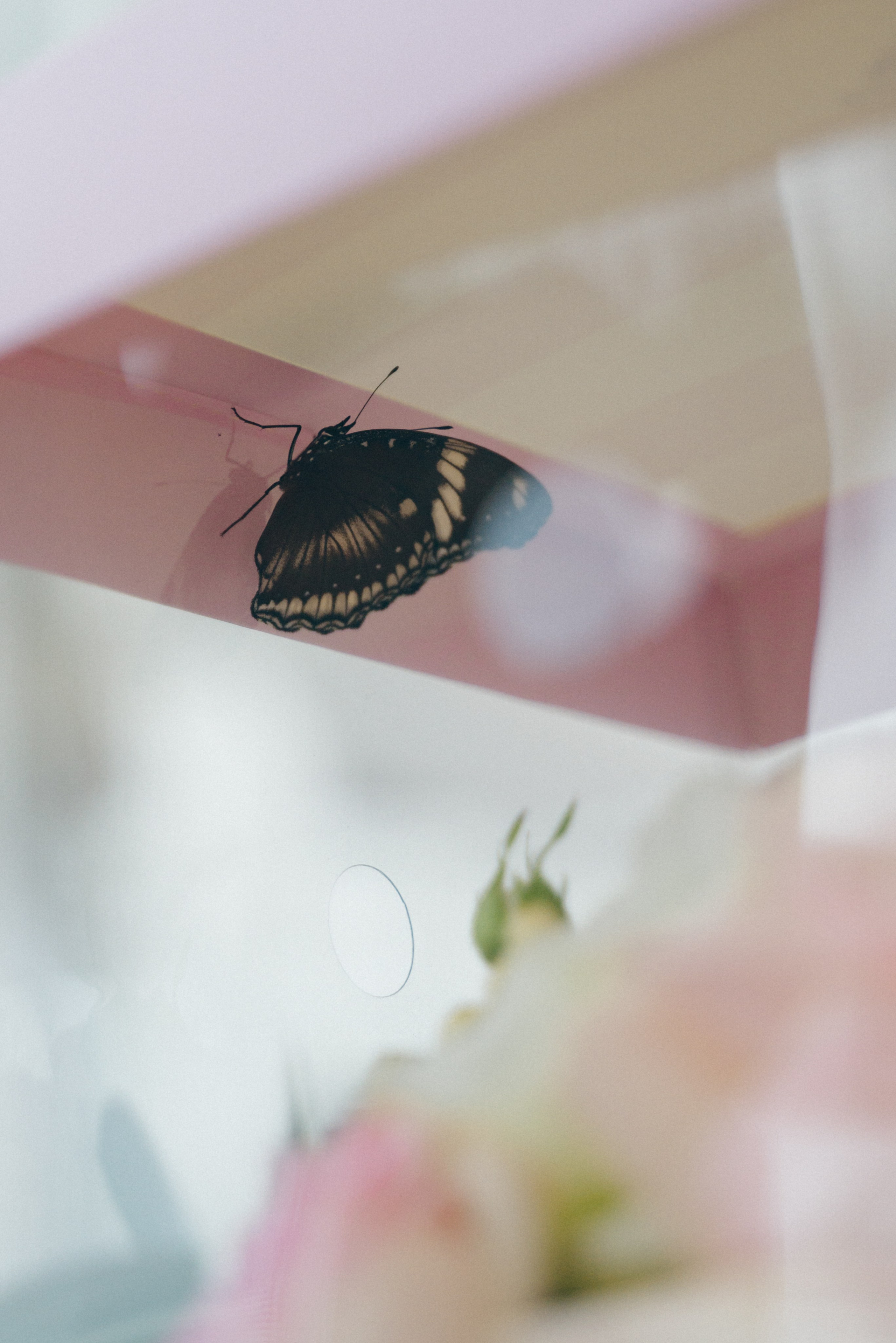 Полина и Кирилл. Репортажный и свадебный фотограф в Сургуте