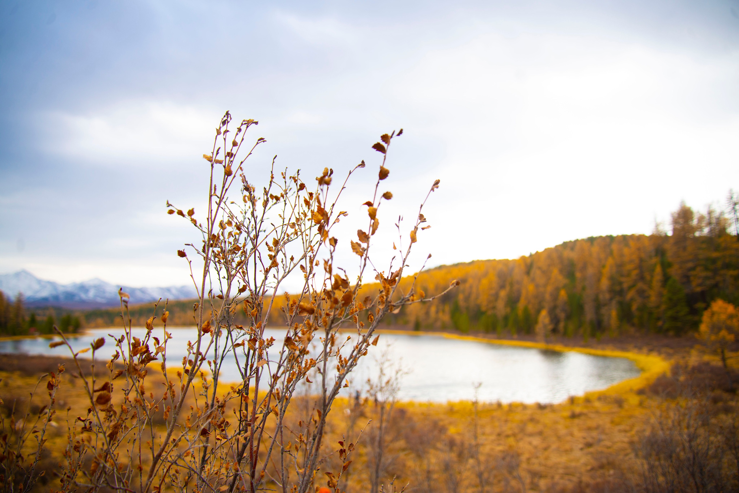 Контент-съёмка для туристической компании НА ВЫСОТЕ. Семейный фотограф в Барнауле, Горный Алтай, Заринск, Алейск