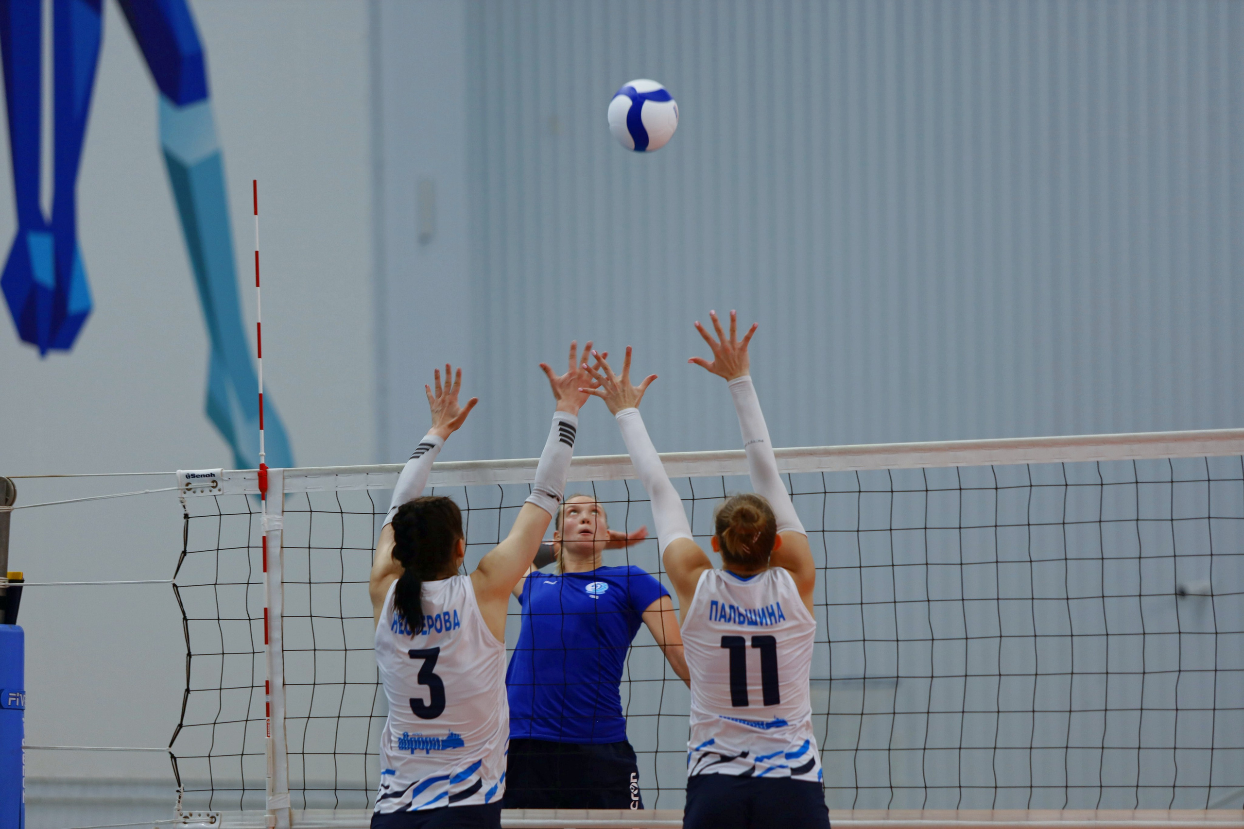 Волейбол ВФВ 09.08.24. Репортажный фотограф Анапа