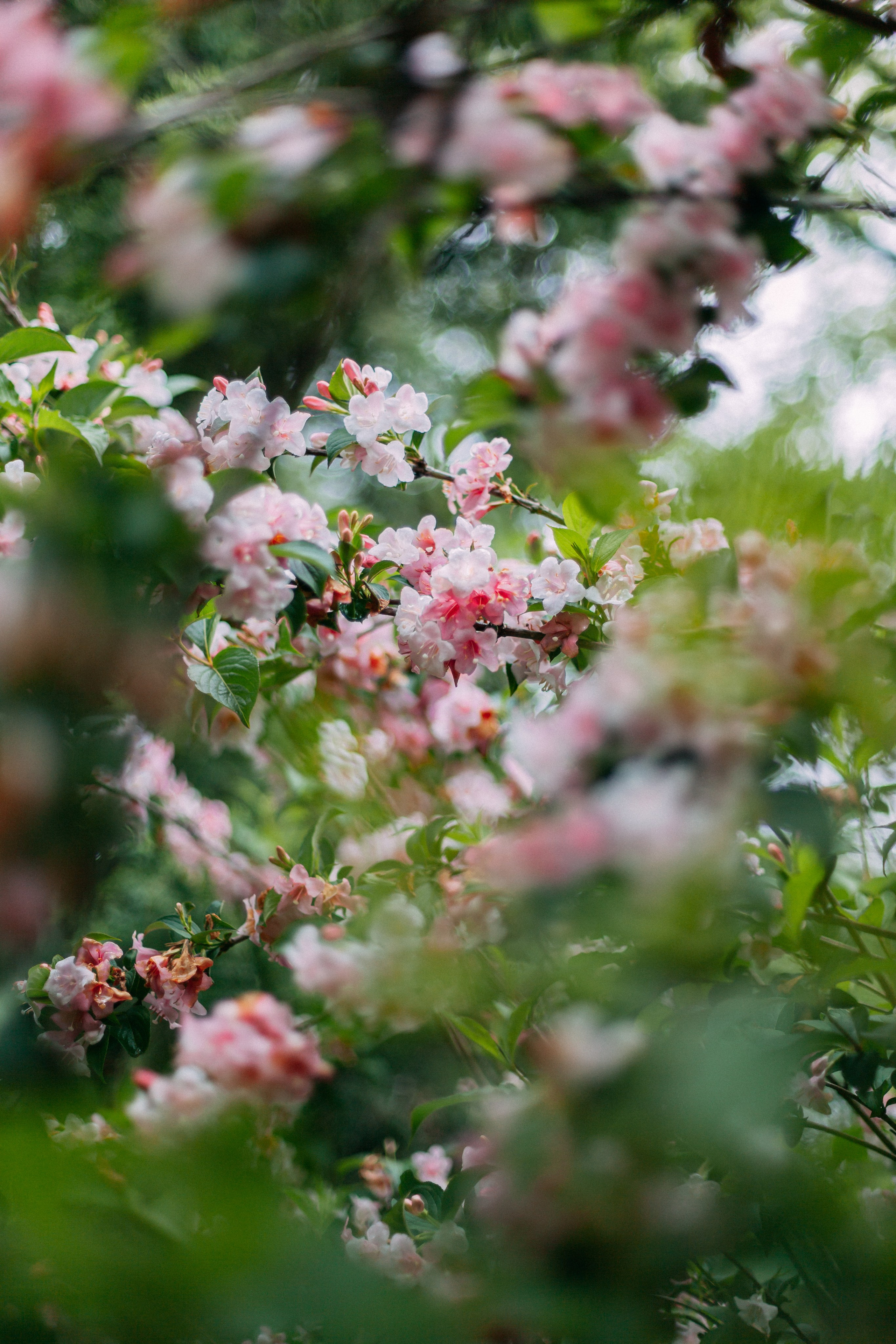 Сочи. Аня Степанова