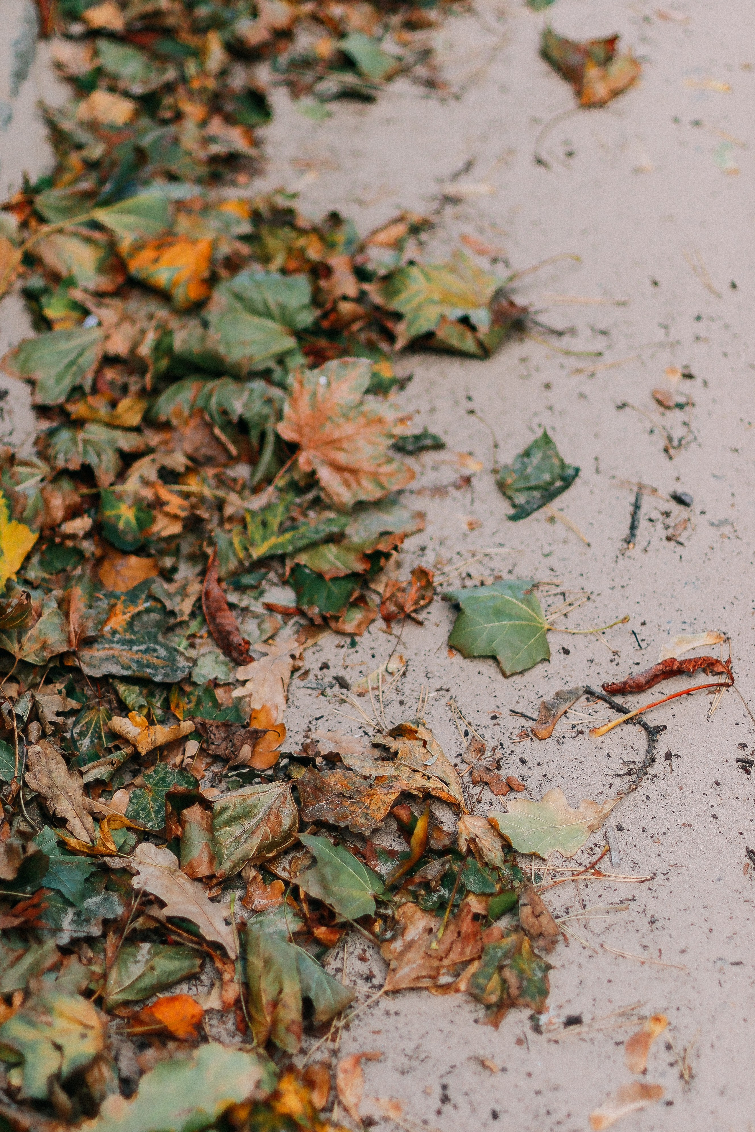 Латвия. Аня Степанова