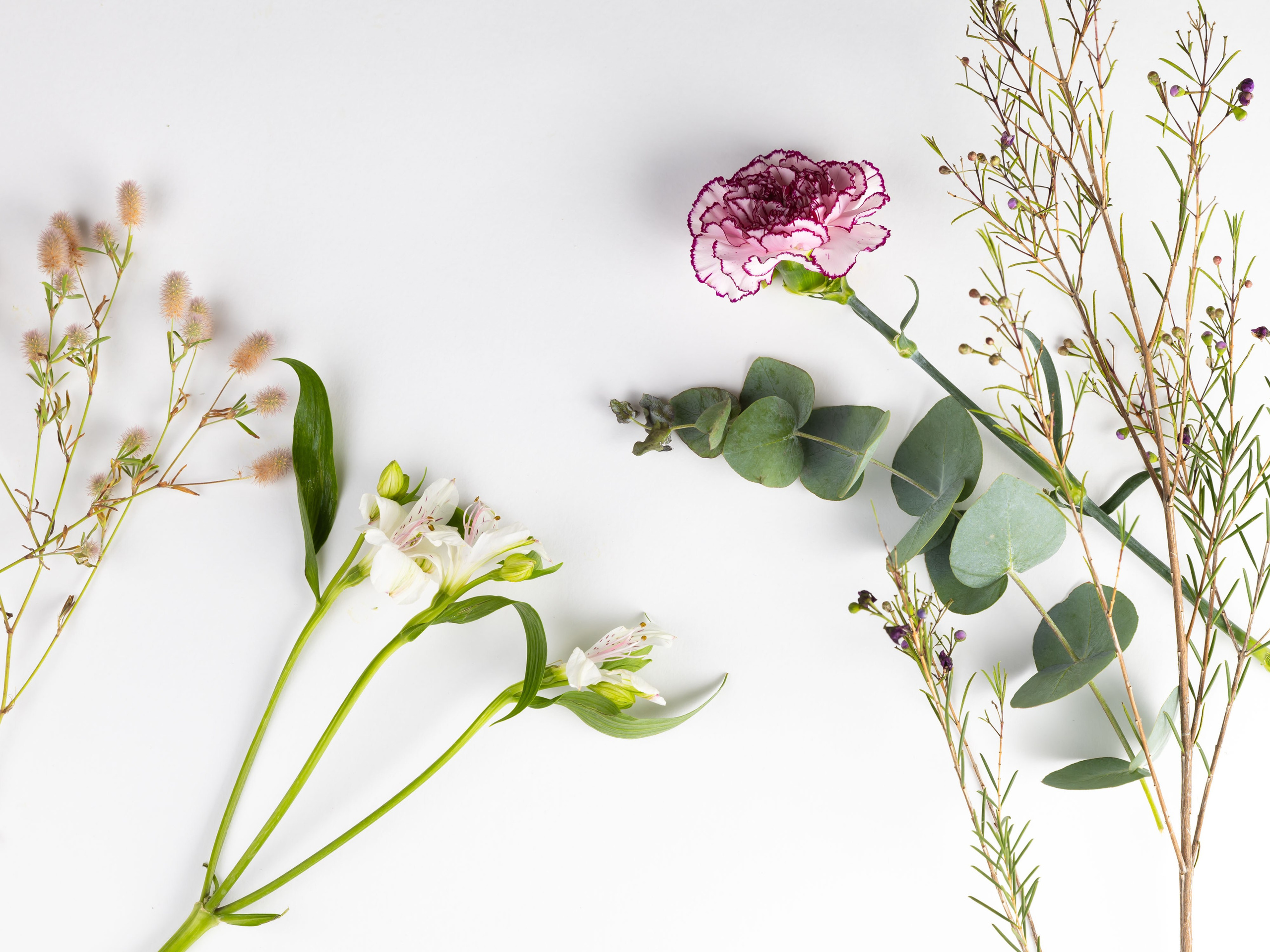 ЦВЕТЫ. ФОТОГРАФ ВИНОГРАДОВА ДАРЬЯ