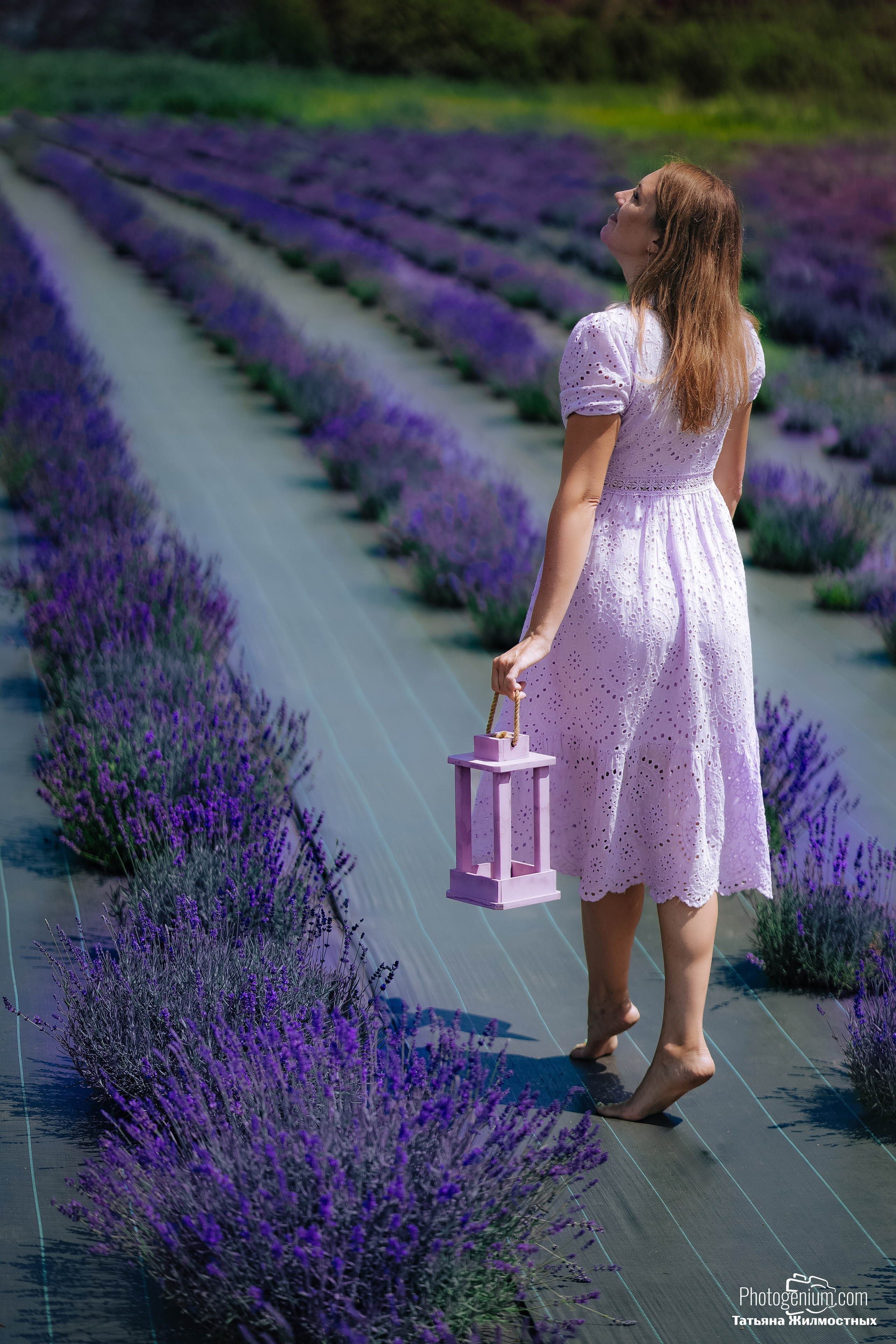 Лавандовое поле 2. Фотограф Нижний Новгород Татьяна Кэйод