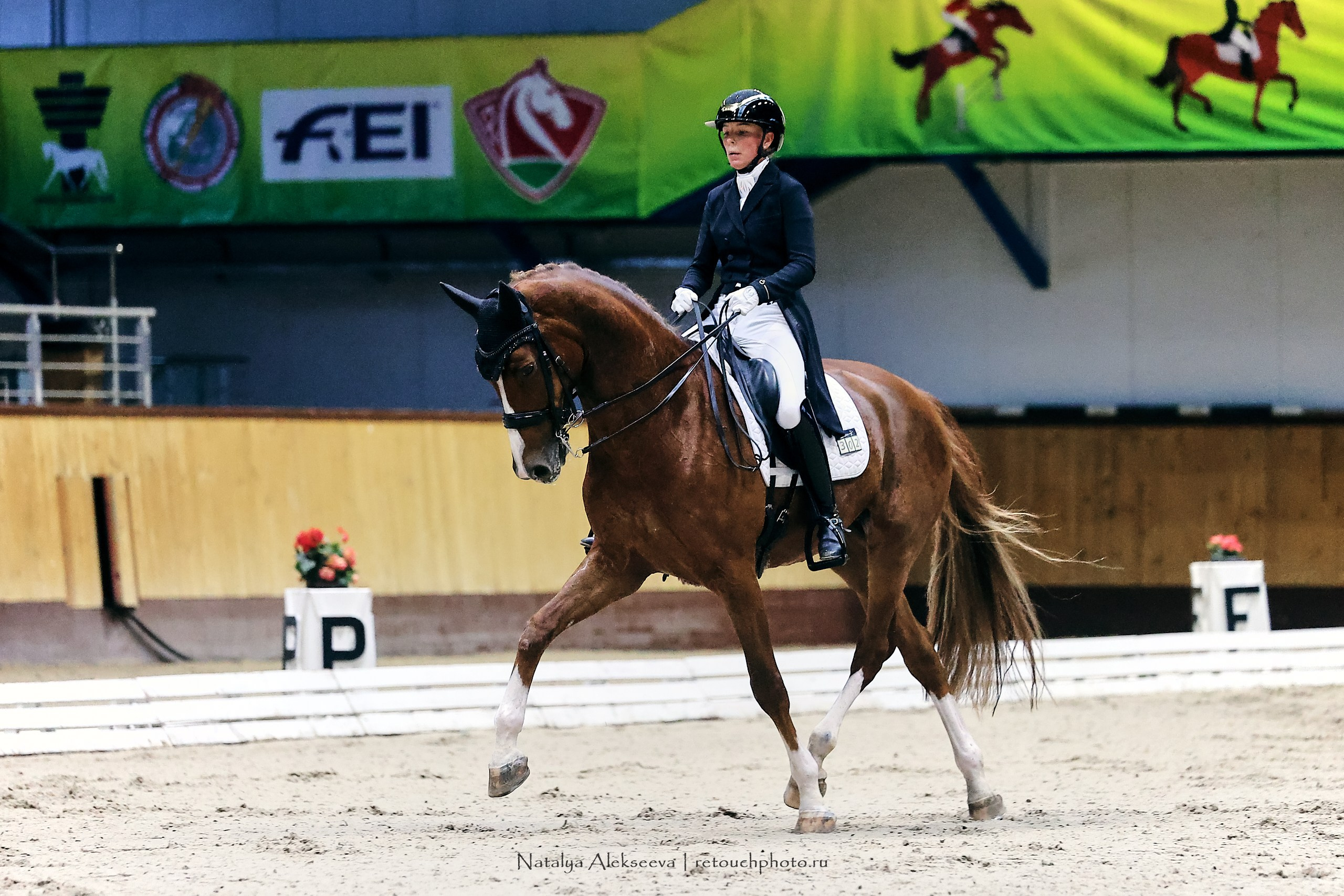 Звезды Евразии по выездке, Минск | 10'2023. Репортажный фотограф и ретушер в Москве Наталья Алексеева