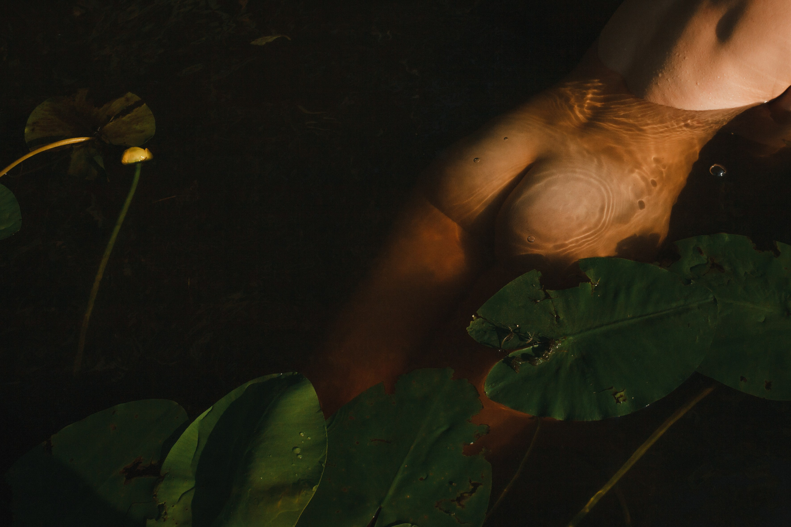 Ню 18+ Съёмка в воде Рассвет Кувшинки. Портретный и репортажный фотограф в Москве, Ольга Ларема