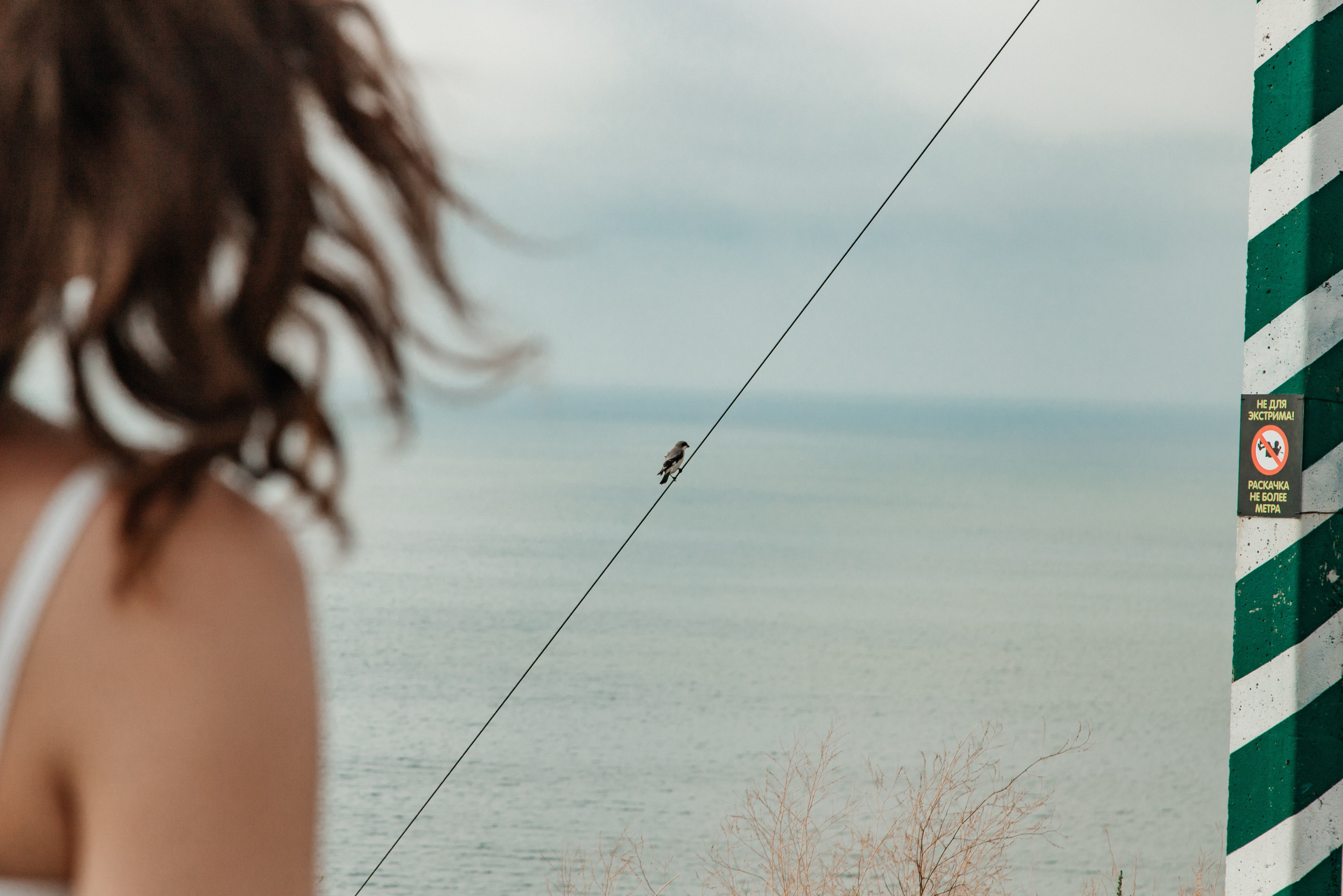 Светлана и Алексей. Фотограф в Таганроге и Ростове-на-Дону