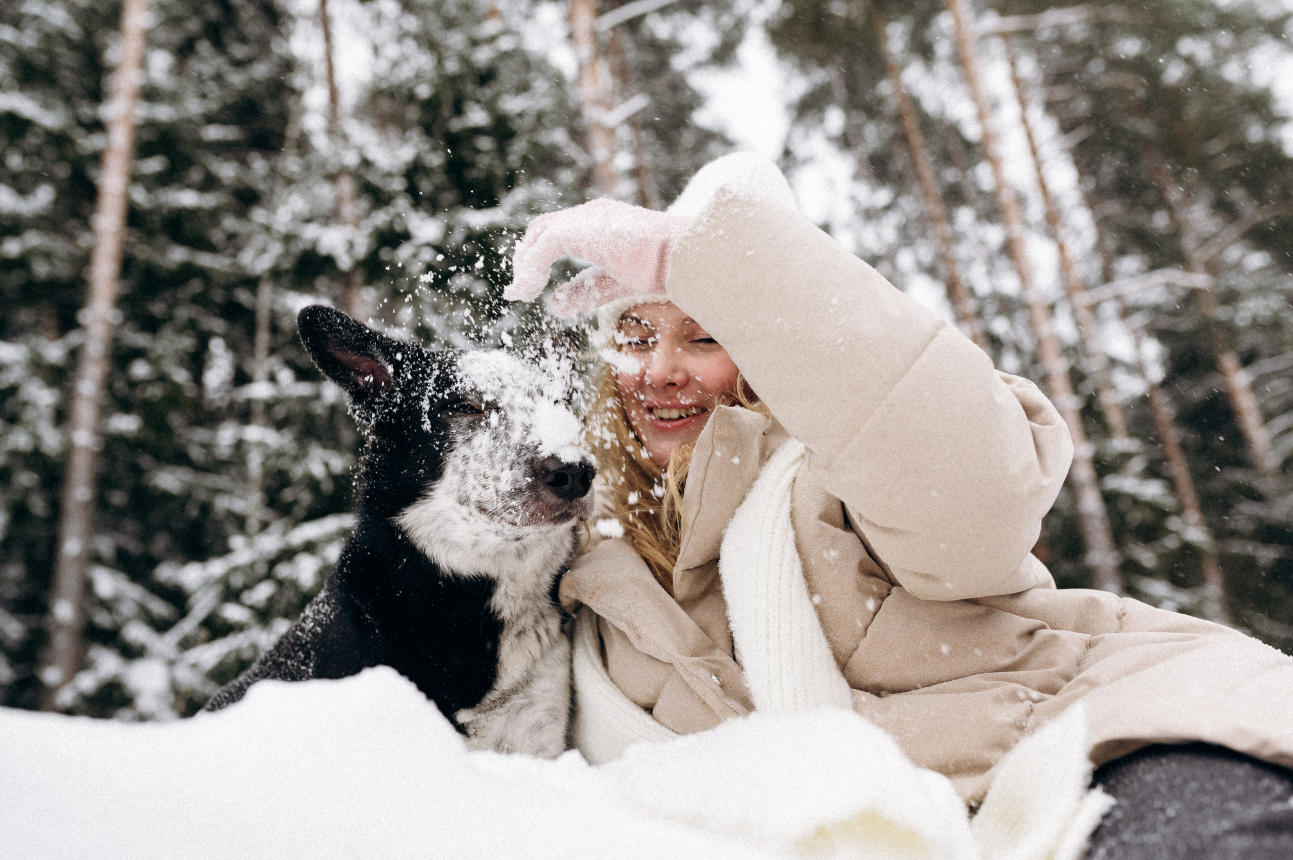 Аня и Милан. Фотограф анималист в Москве Ольга Агушева