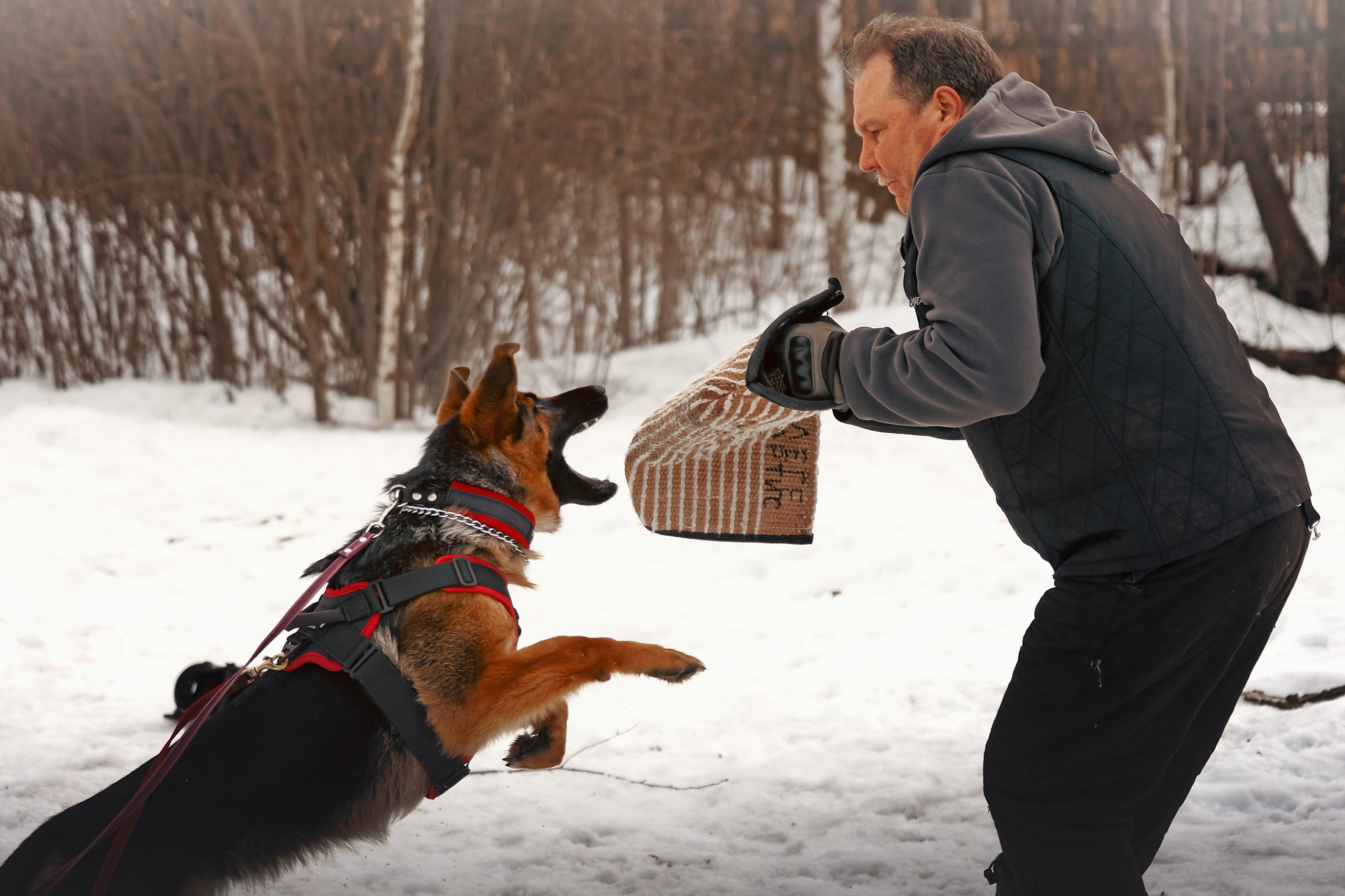 Репортажная съемка. Фотограф-анималист Нижний Новгород