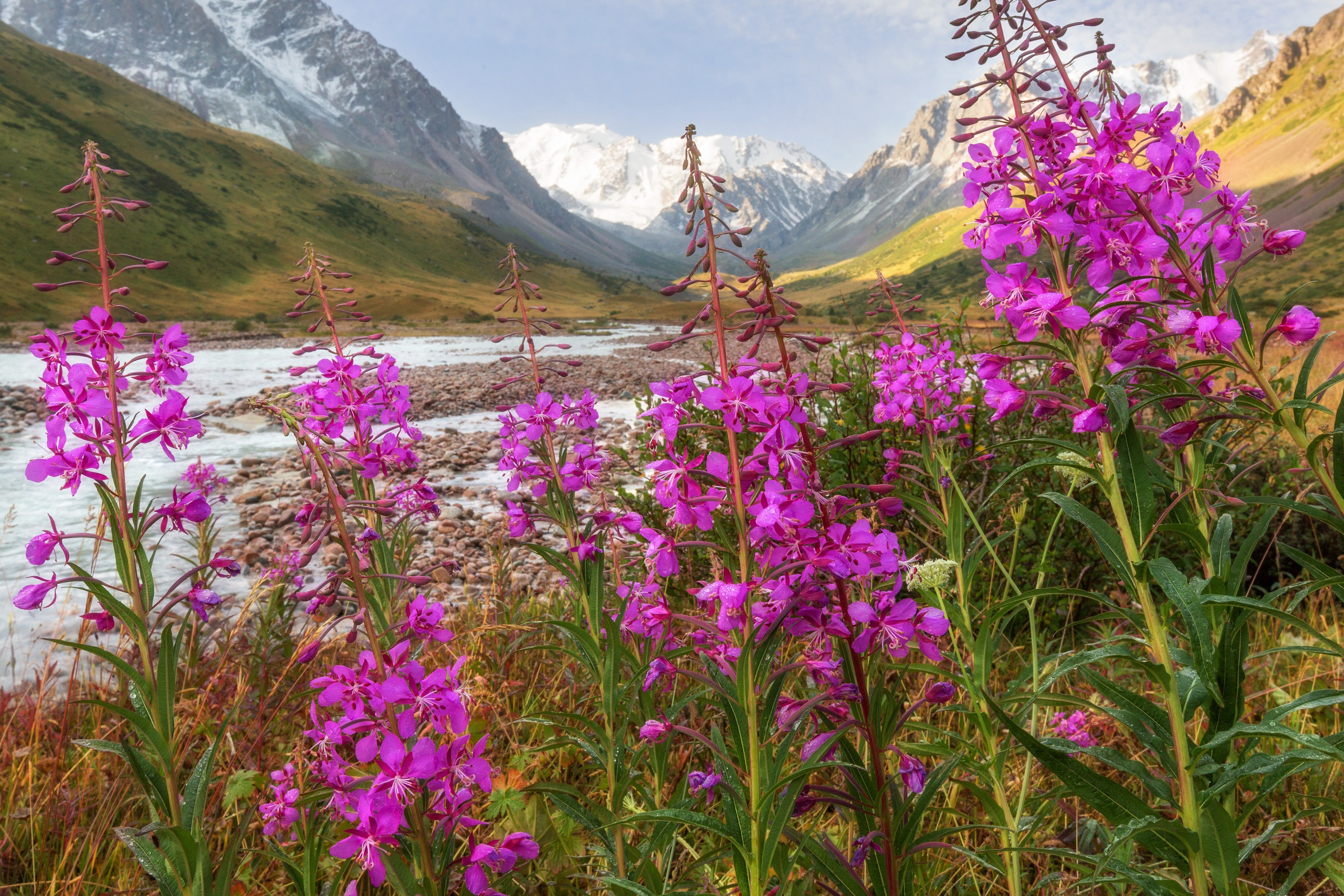 ЗАИЛИЙСКИЙ АЛАТАУ. КАЗАХСТАН. Фототуры и обучение пейзажной фотографии