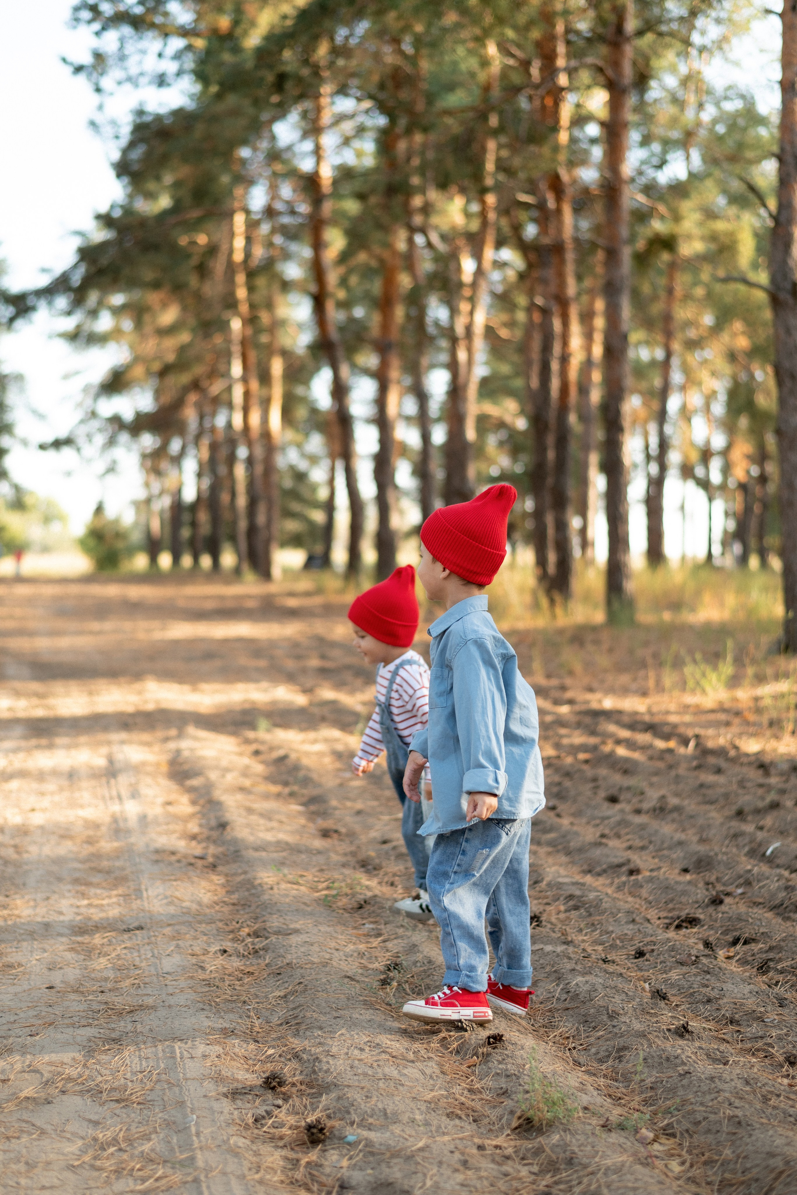 Ю+С+М+Т. Семейный фотограф Ирина Сгибнева